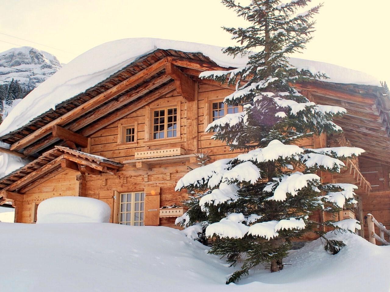 Bärgblüemli im Winter (2) Bärgblüemli im Winter (2)