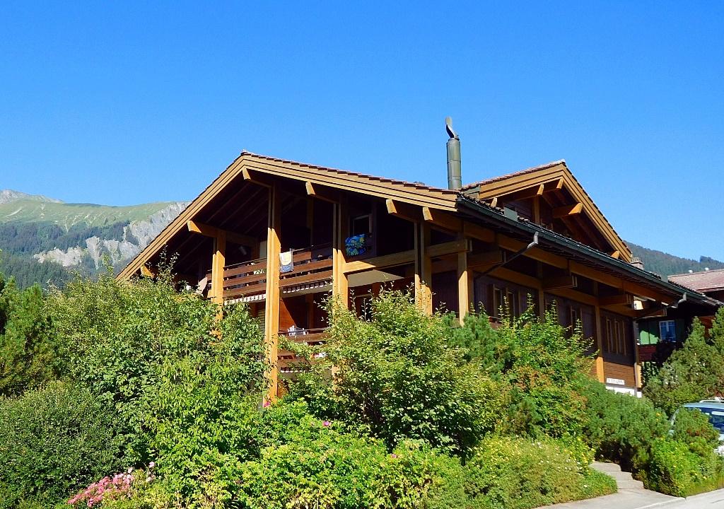 Chalet  Amaryllis Chalet  Amaryllis