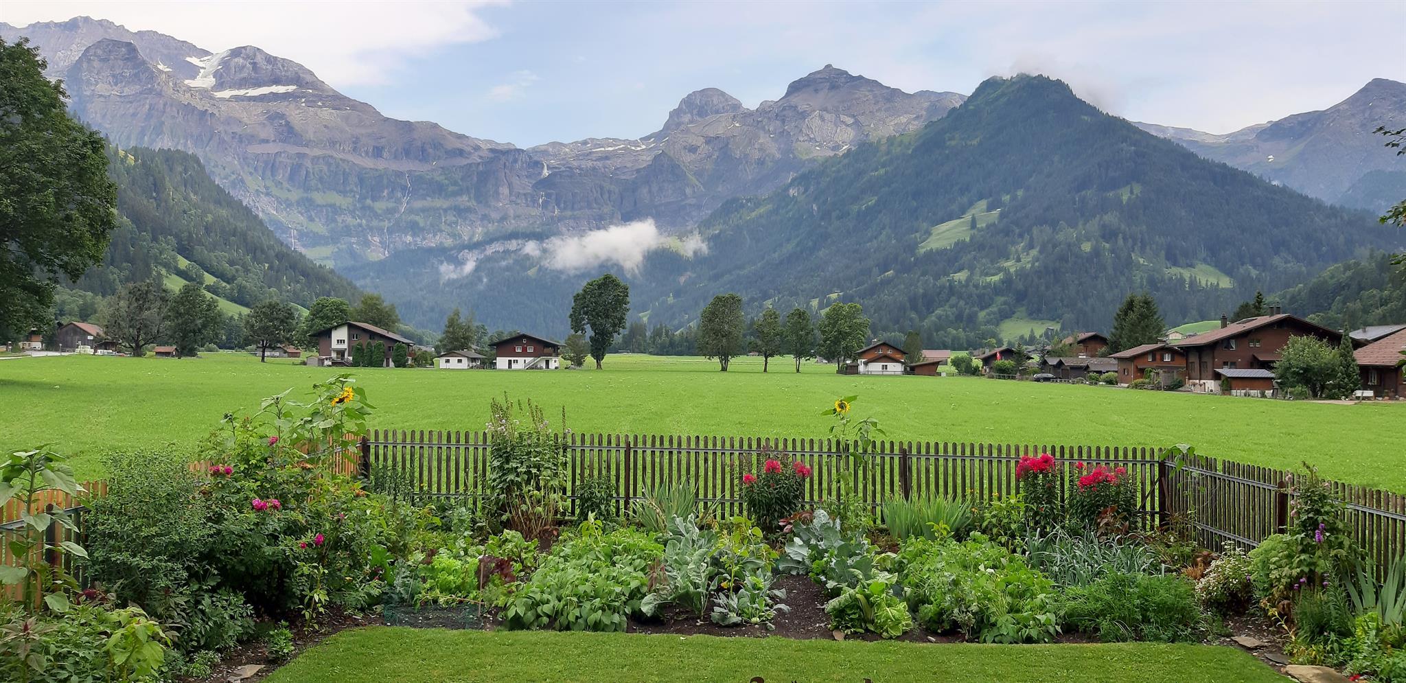 Ausblick Sommer Ausblick Sommer
