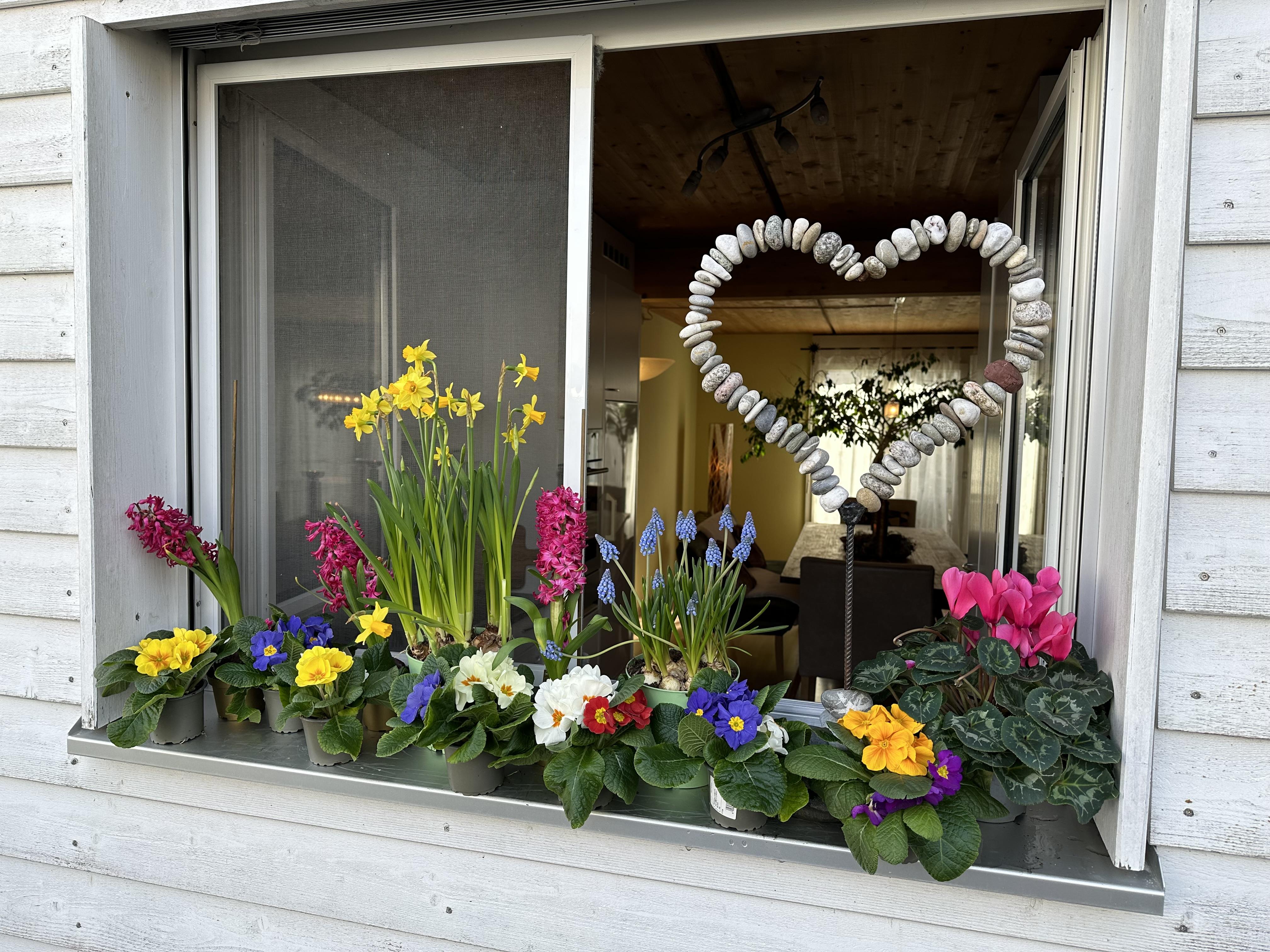 Fenster Küche Fenster Küche