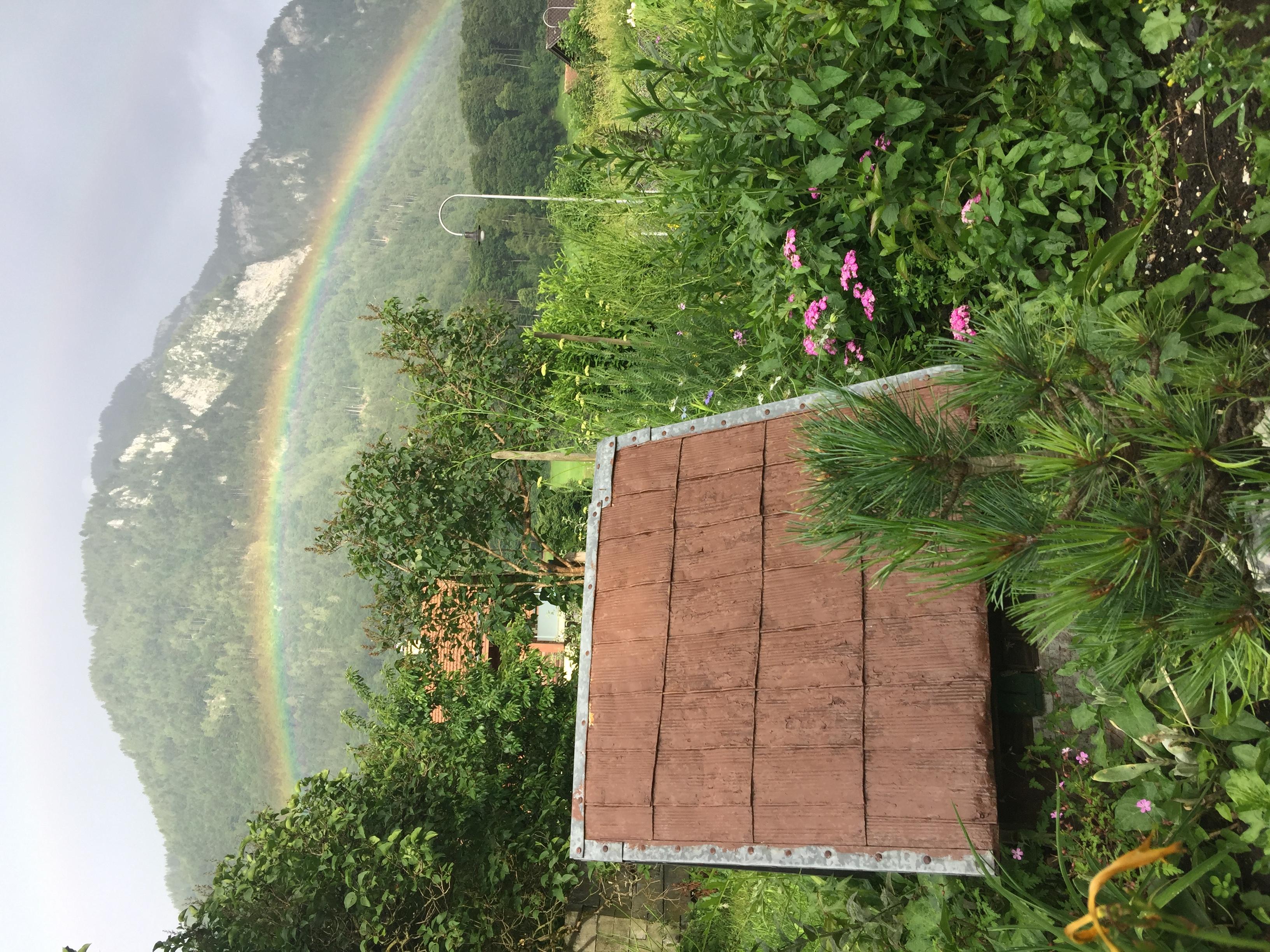 Regenbogen im Gärtli Regenbogen im Gärtli