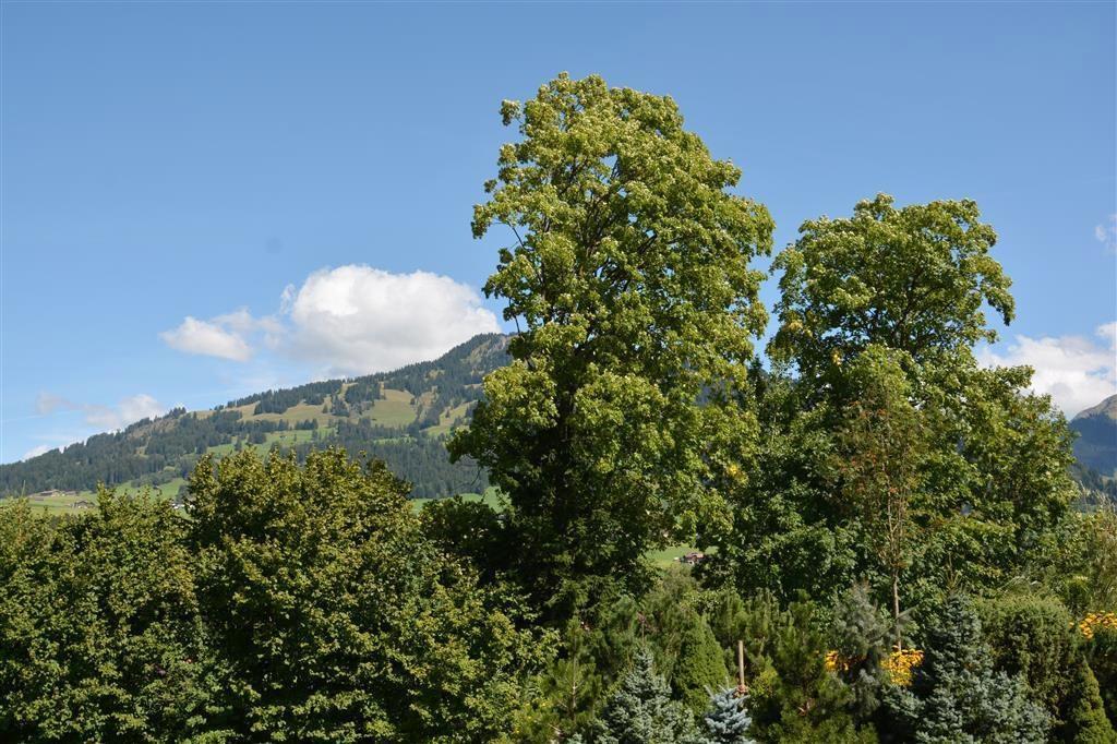 Aussicht (3) Aussicht (3)