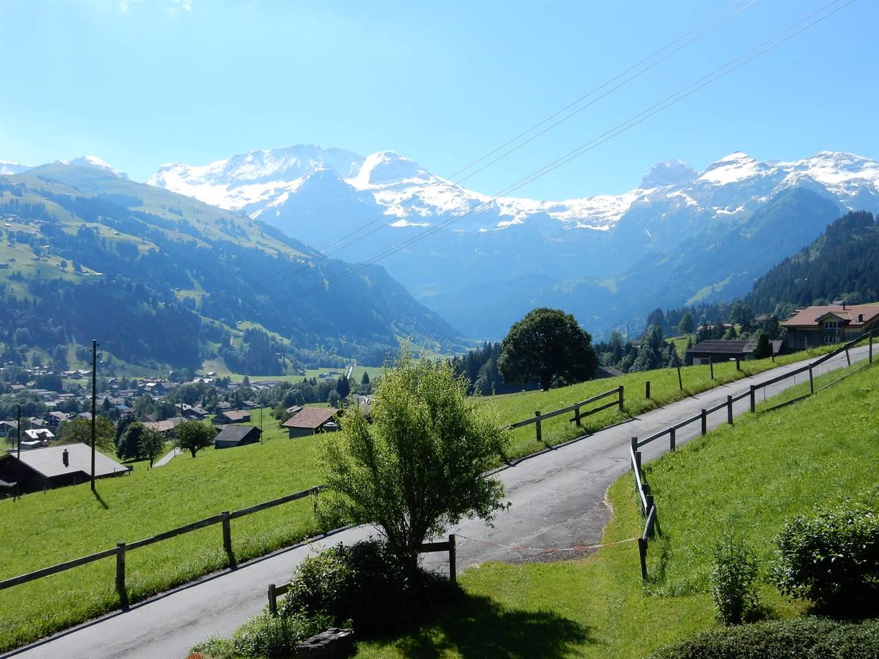 Aussicht Sommer Aussicht Sommer