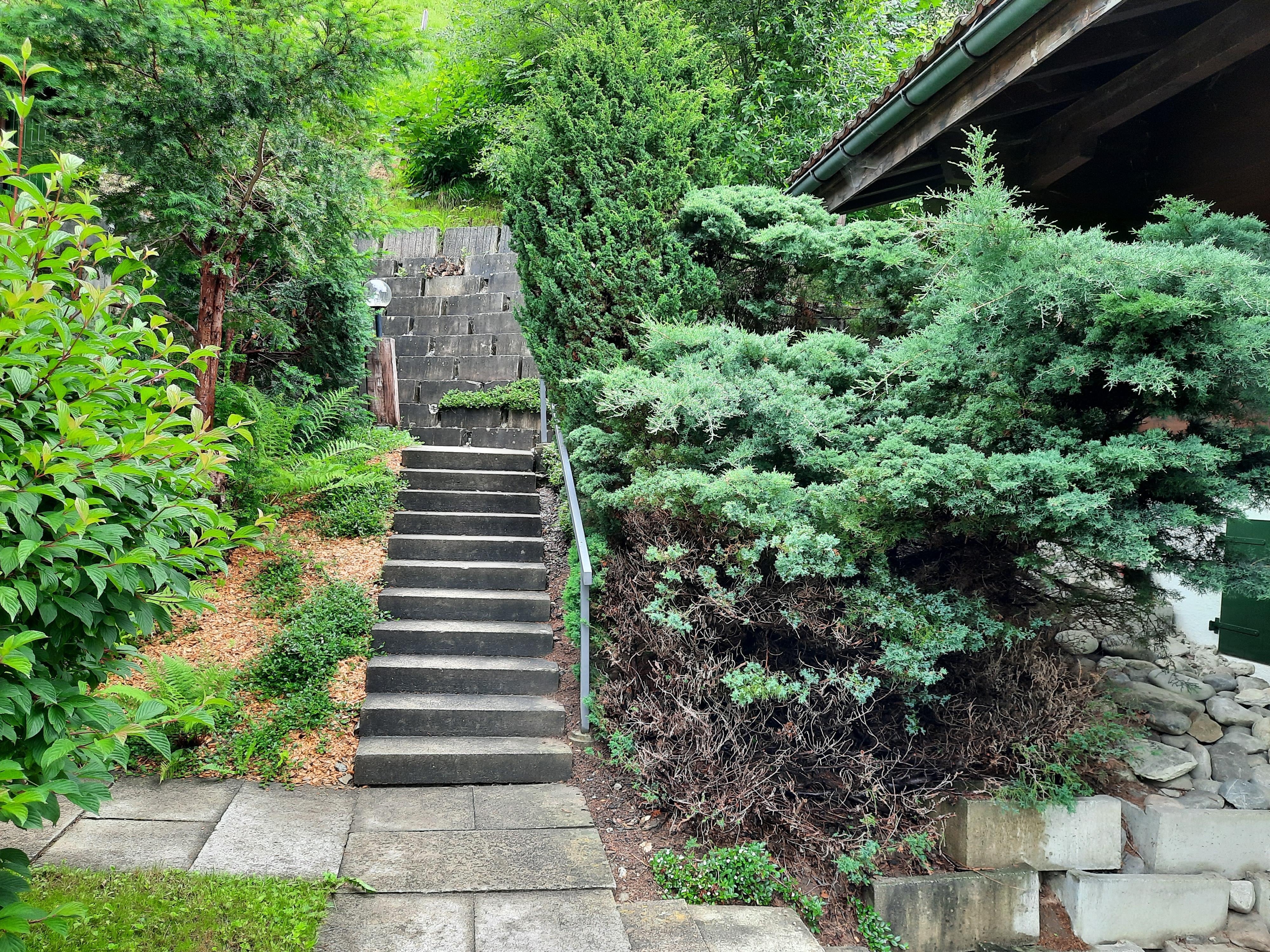 20210622_111851 20210622_111851