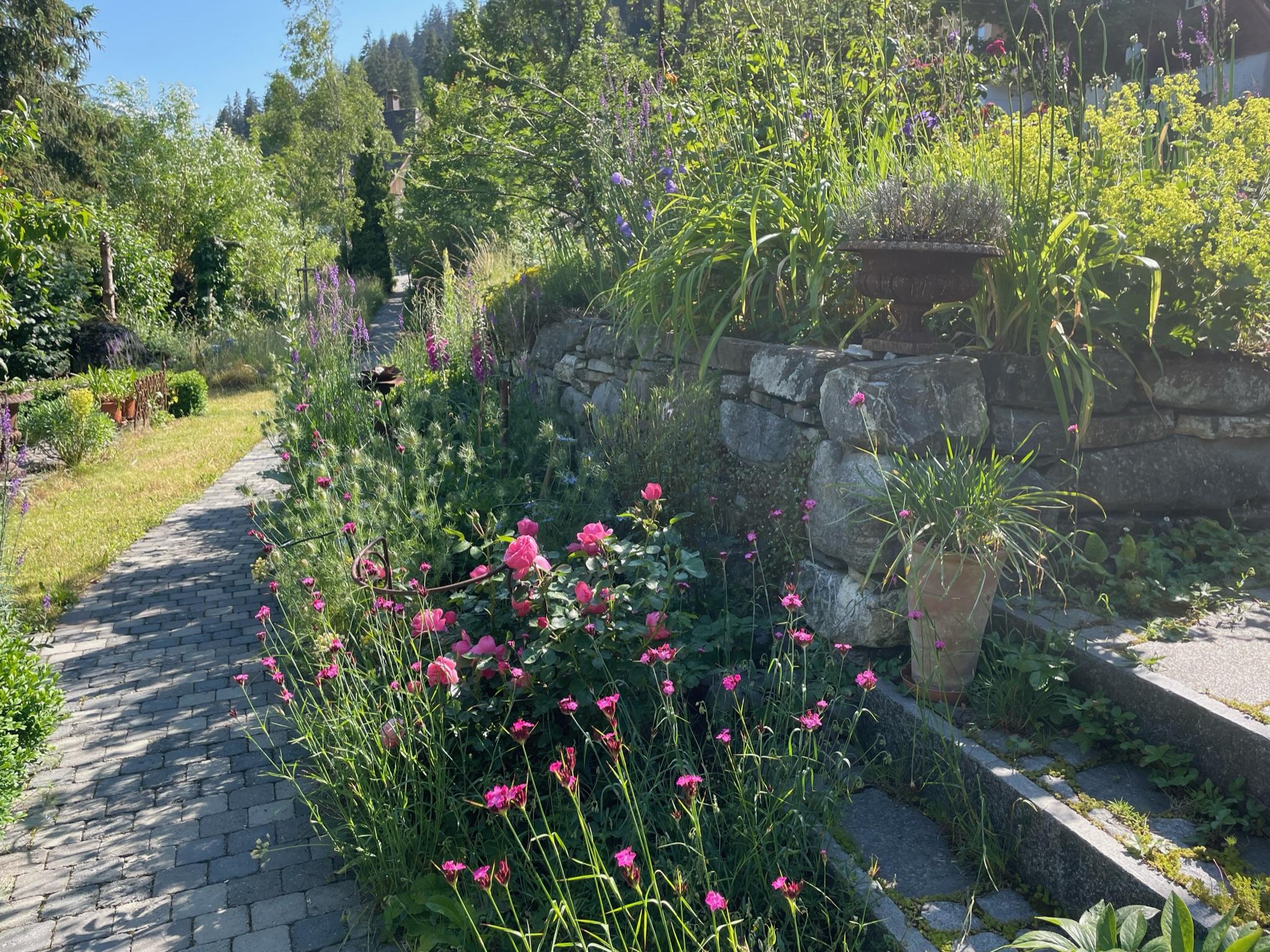 Garten Impression Garten Impression