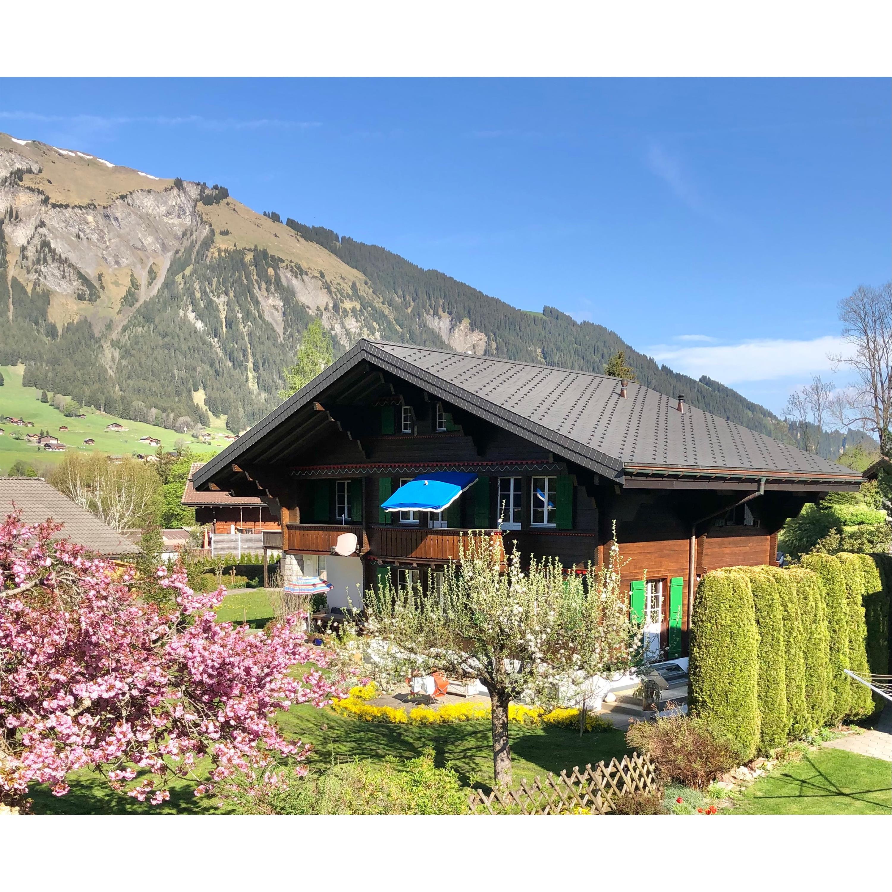 Chalet Träumli im Sommer 1 Chalet Träumli im Sommer 1