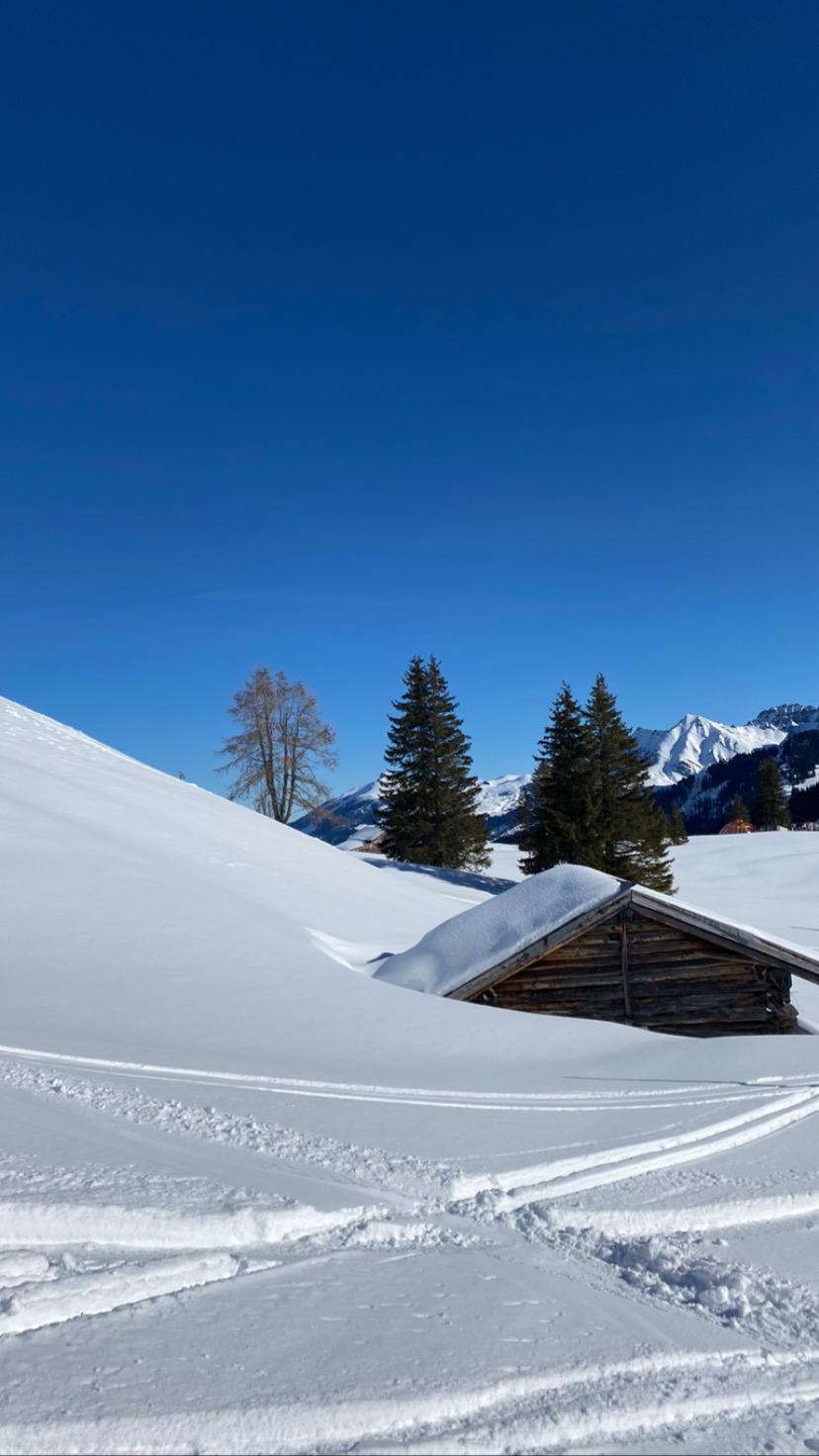 AA1DA415-DBF2-4212-B52C-B31D257968FF AA1DA415-DBF2-4212-B52C-B31D257968FF