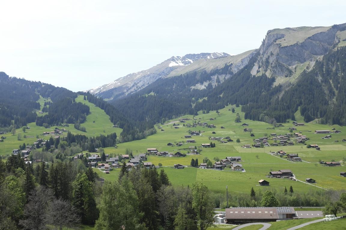 Aussicht im Sommer Aussicht im Sommer