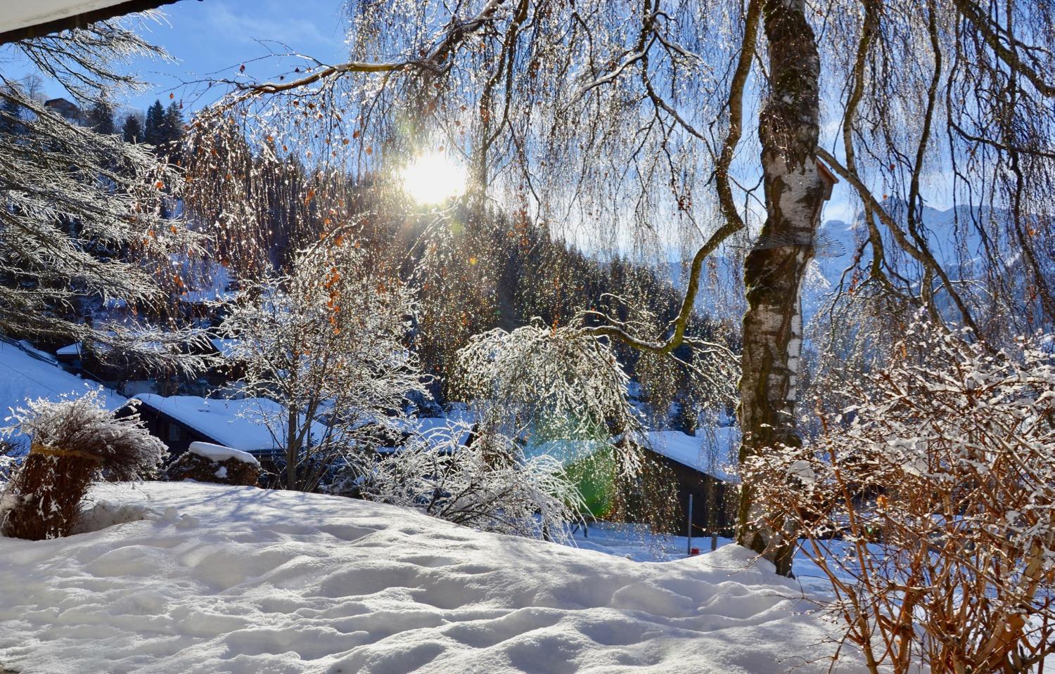 Garten im Schnee Garten im Schnee