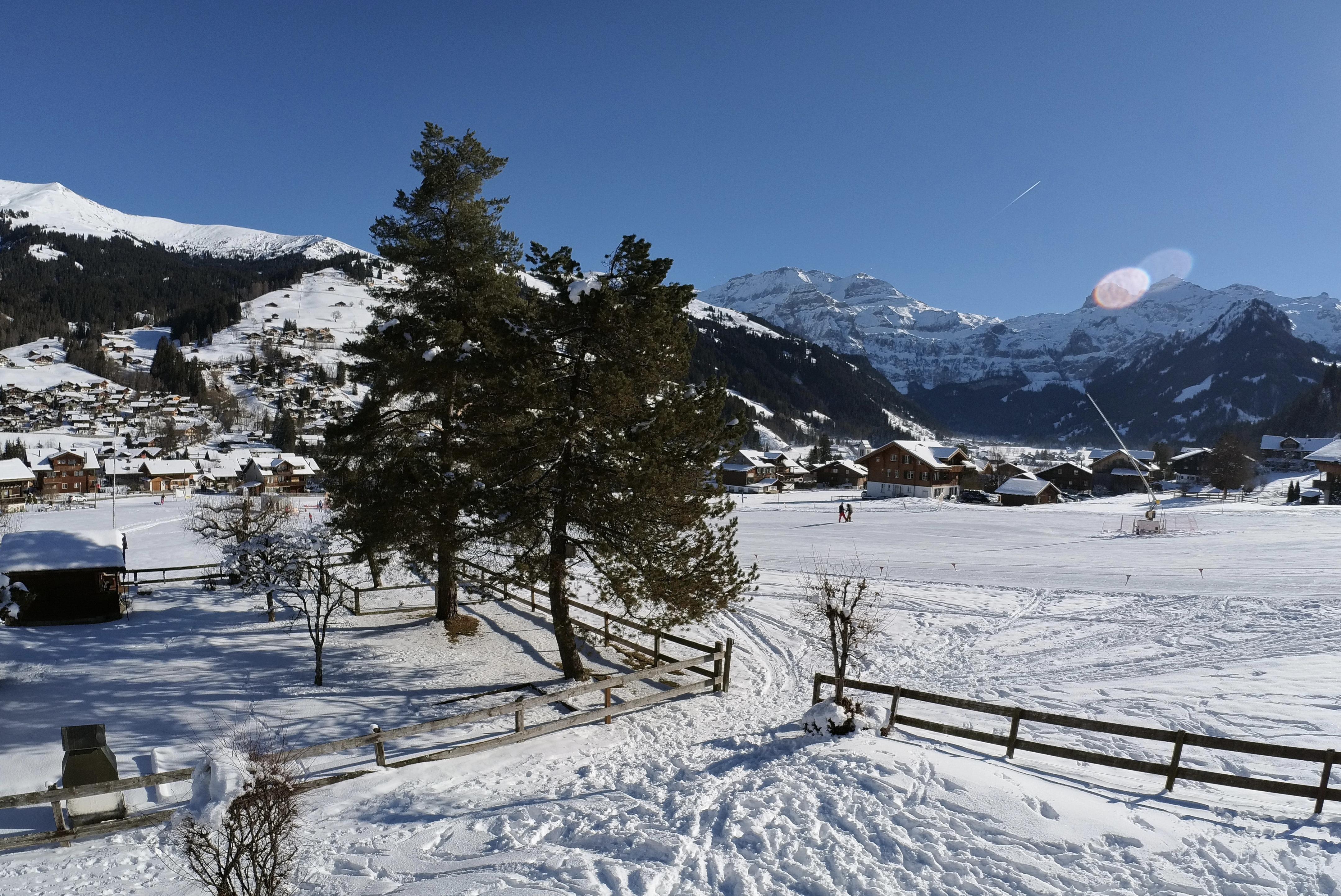 IMG_20220115_131204_597 IMG_20220115_131204_597