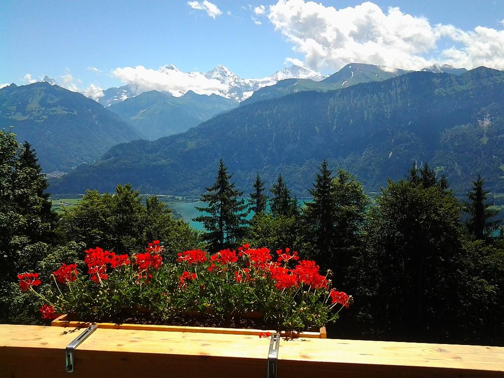 Balkon Sommer Balkon Sommer