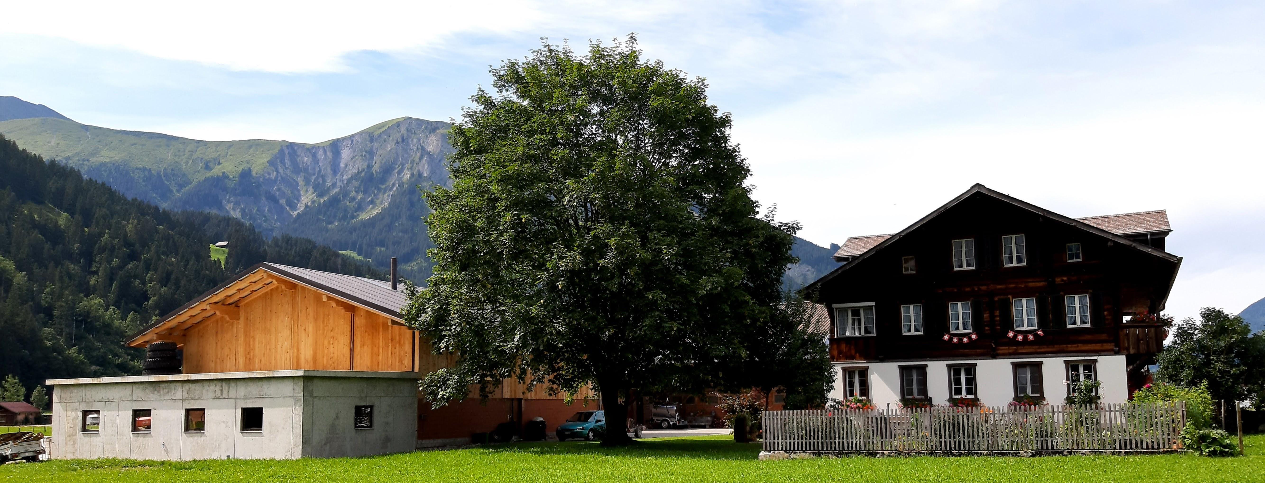 Hausansicht Front Sommer Hausansicht Front Sommer