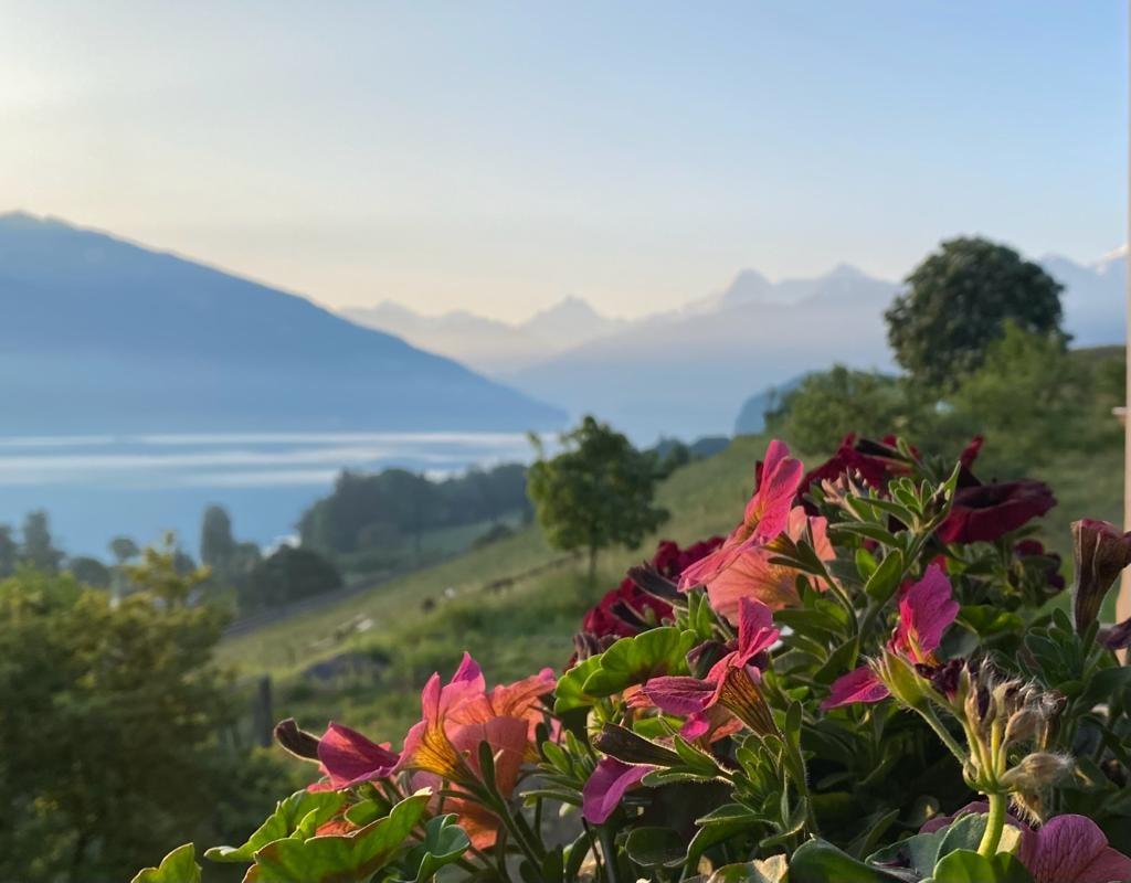 Aussicht vom Balkon