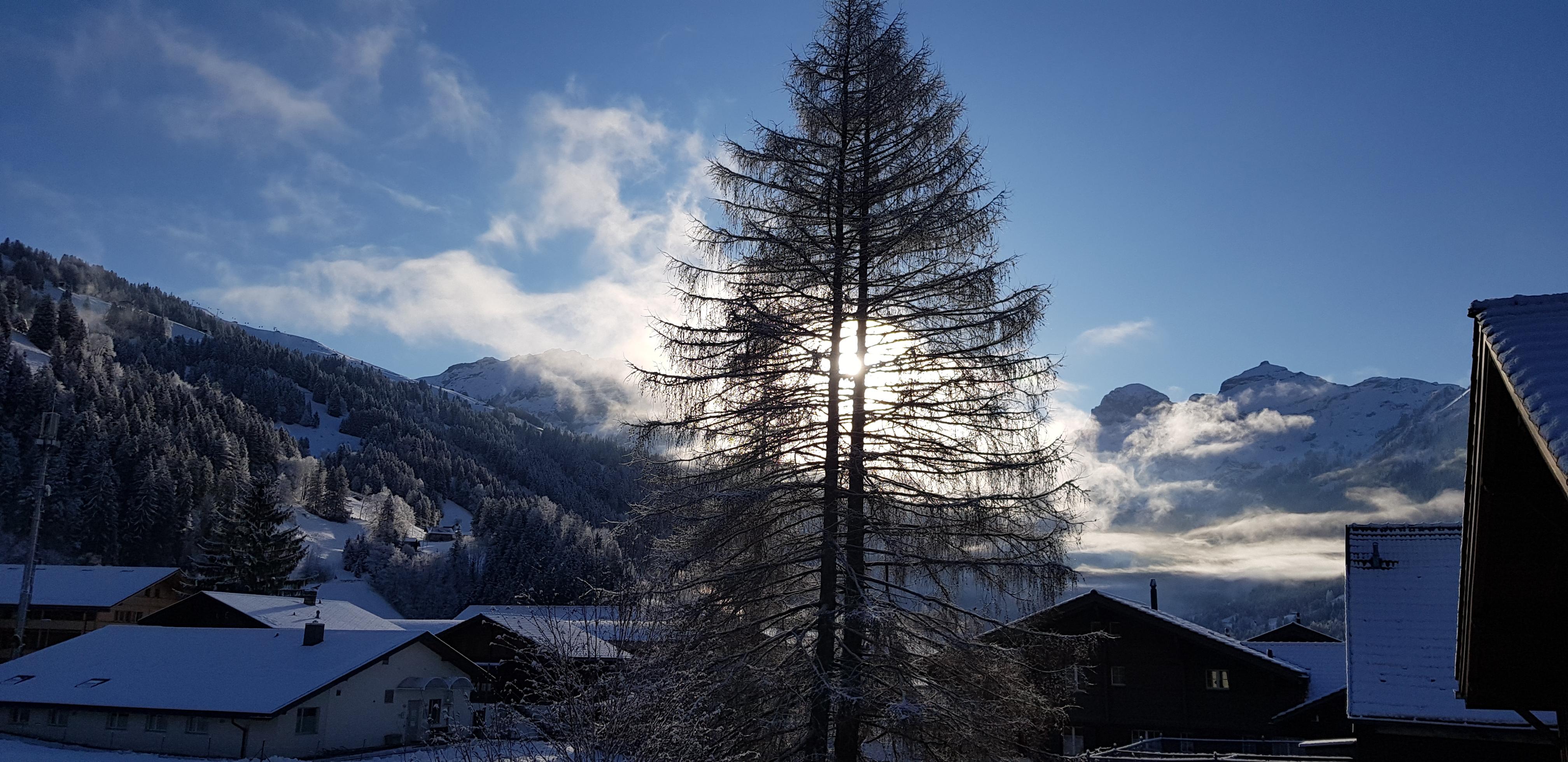 20200118_095835 20200118_095835