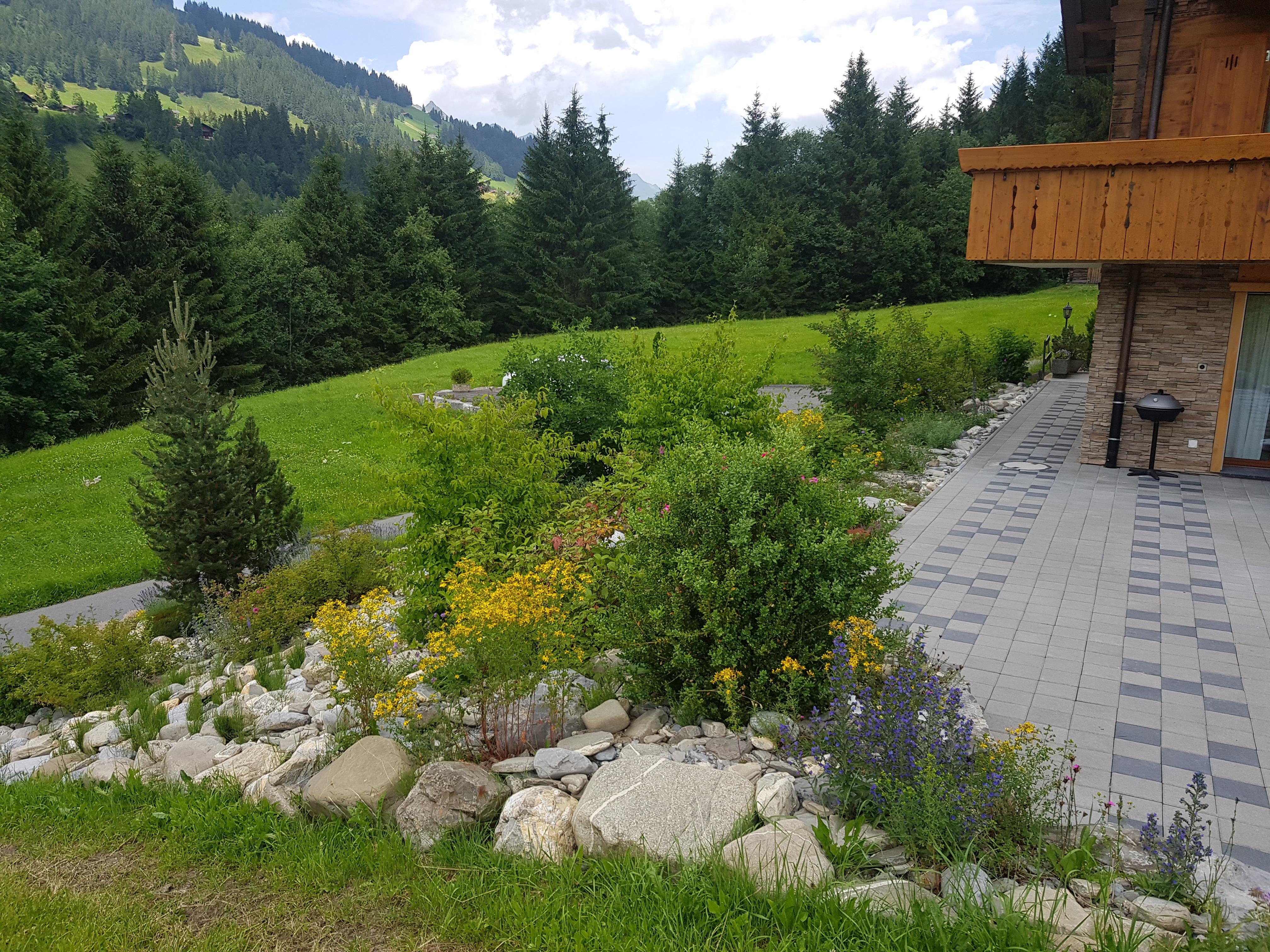 20190720_140441_012 20190720_140441_012