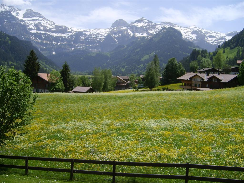 Aussicht_vom_Balkon Aussicht_vom_Balkon