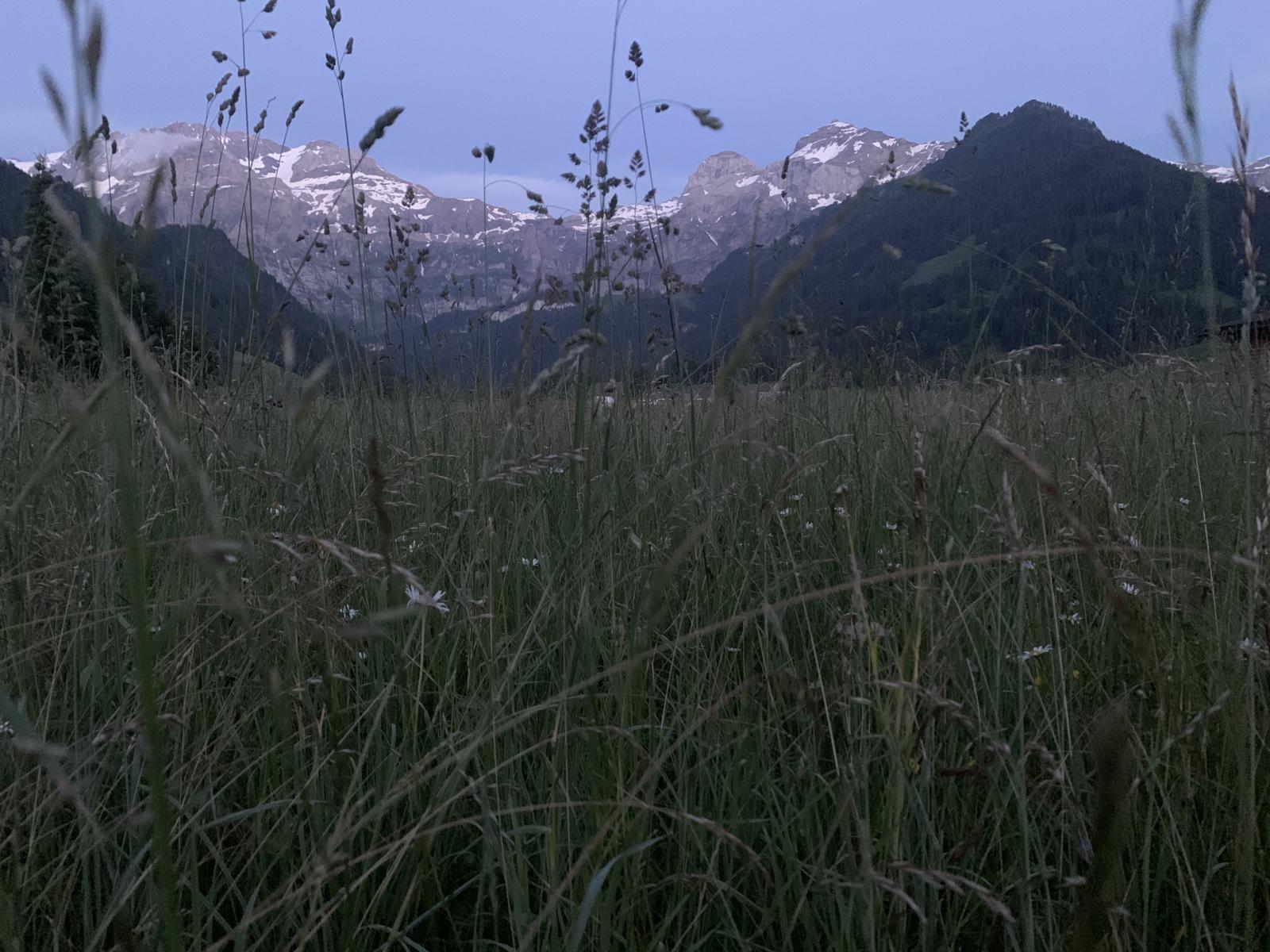 Aussicht Terrasse EG Aussicht Terrasse EG