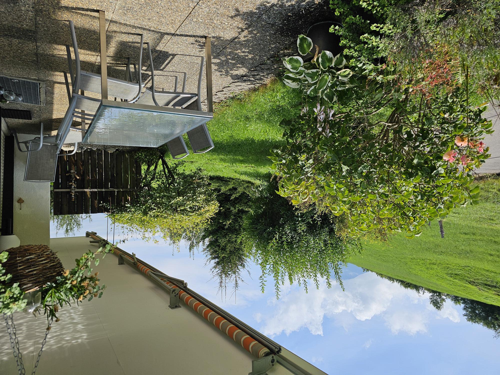 20240804_141201 20240804_141201