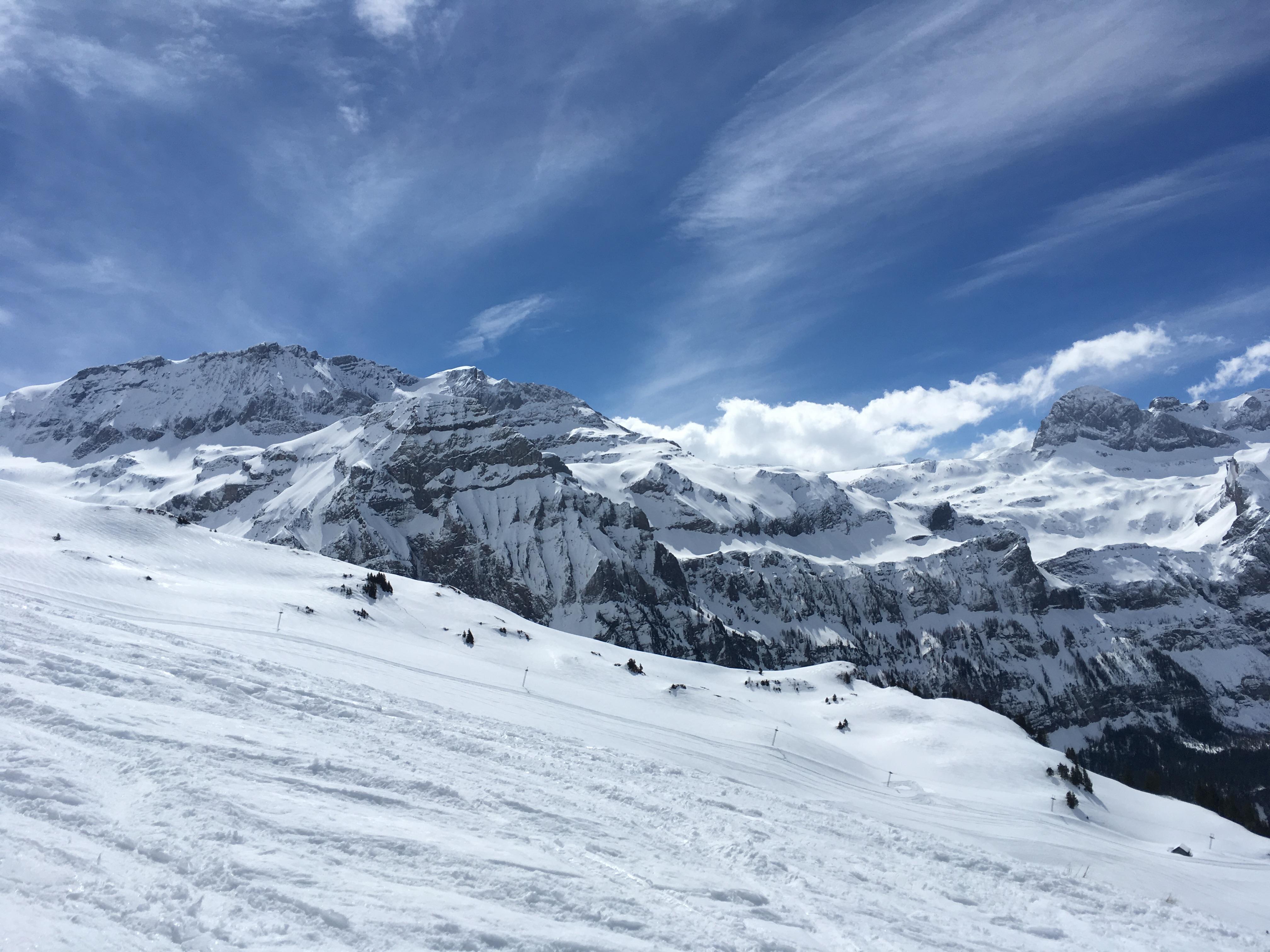 Wilder Stimmung Wilder Stimmung