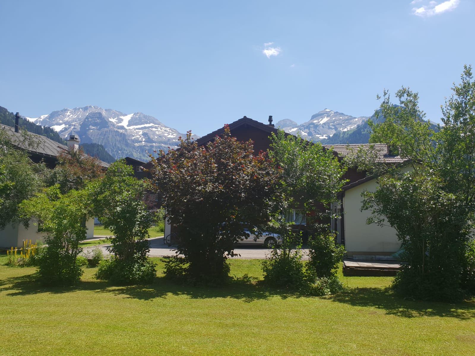 PHOTO-2018-07-02-09-26-07-2 PHOTO-2018-07-02-09-26-07-2