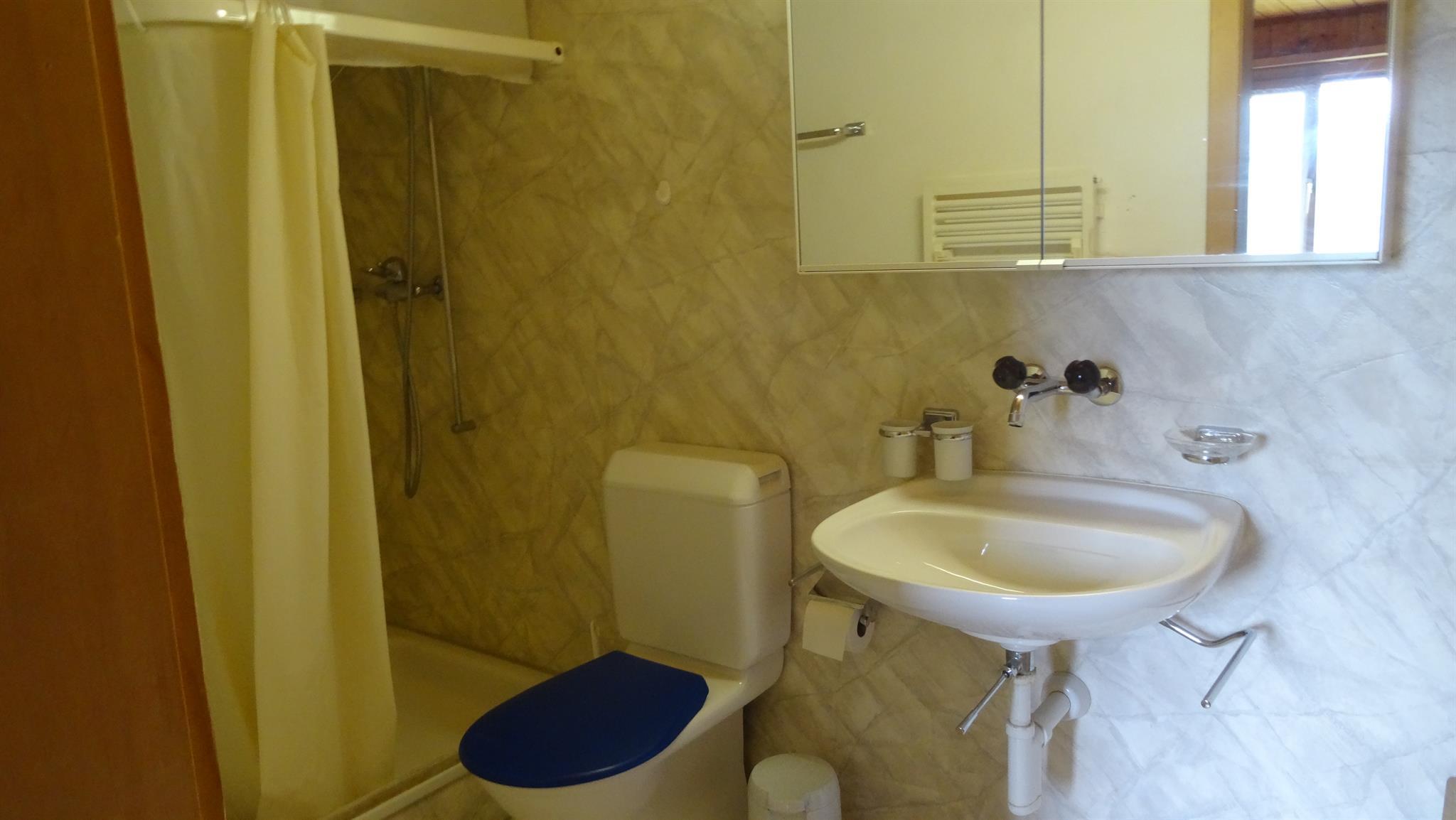 Bad mit Dusche Bad mit Dusche