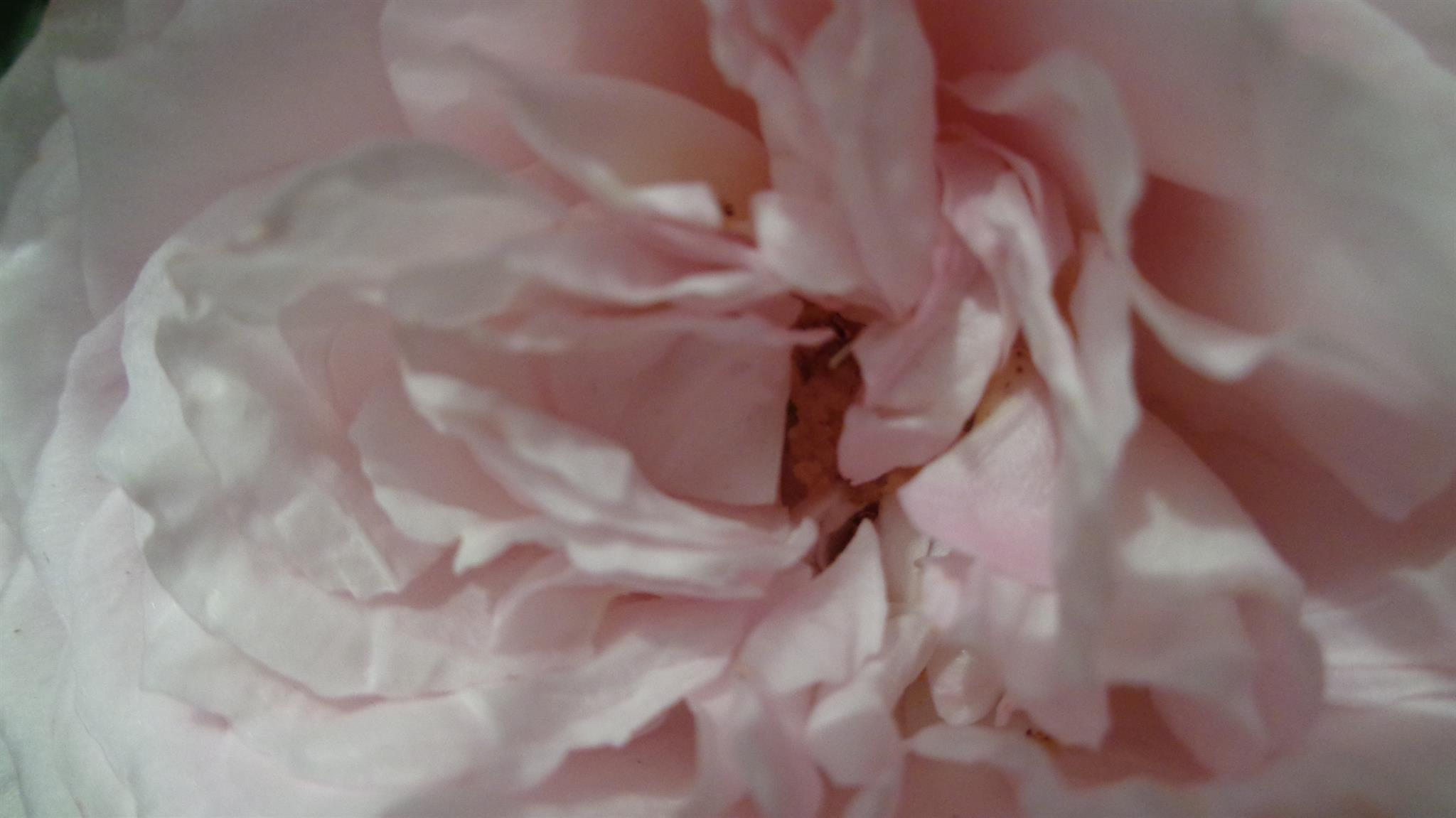 Feingefühl & Genuss Feingefühl & Genuss