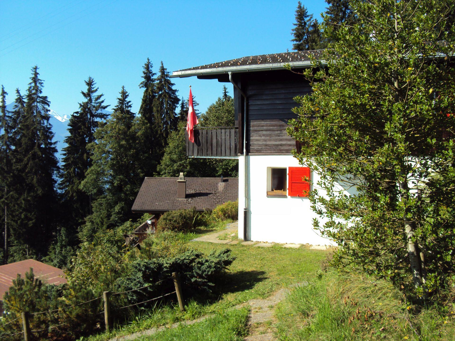 Seitenansicht Sommer Seitenansicht Sommer