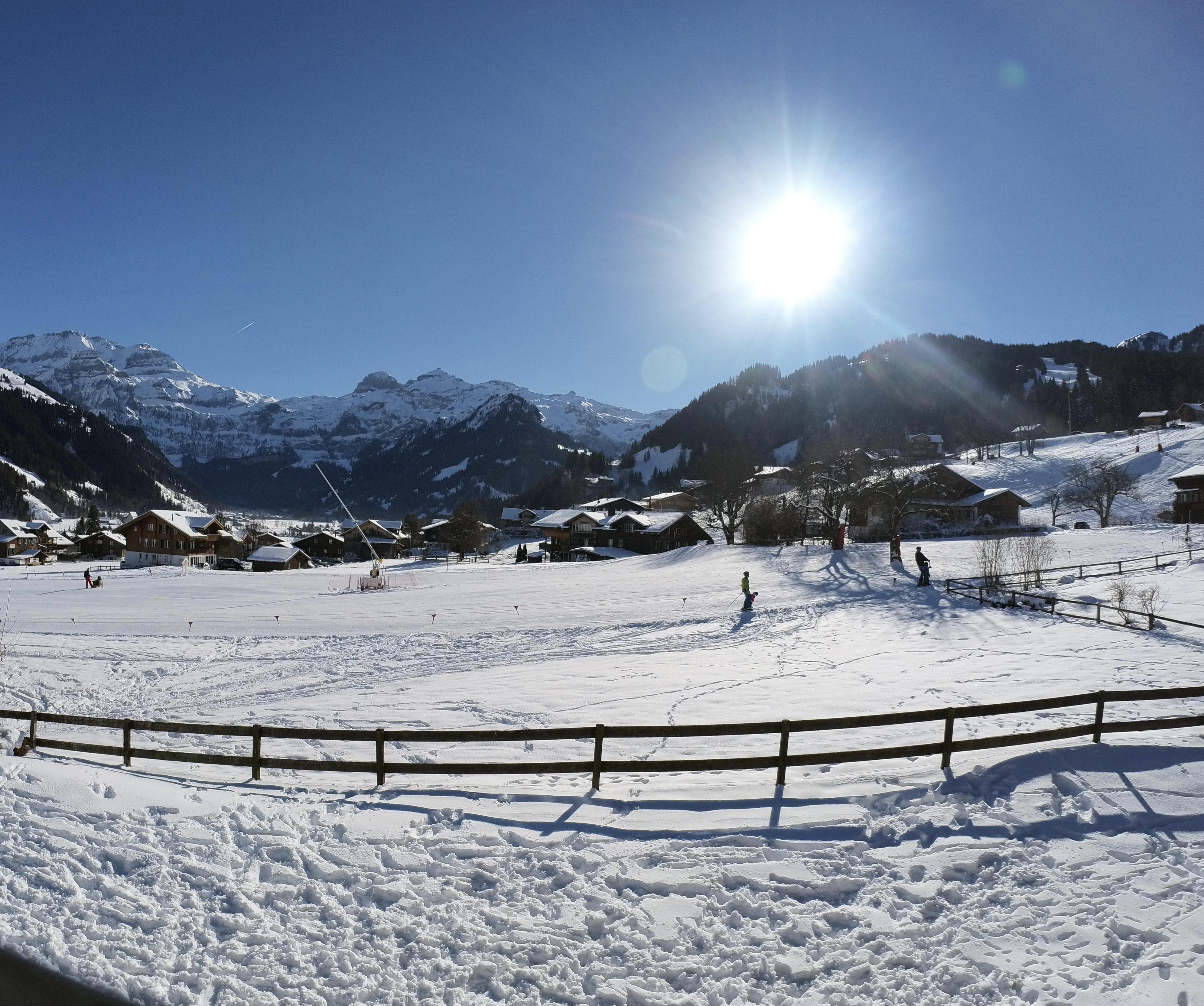 IMG_20220115_131341_755 IMG_20220115_131341_755