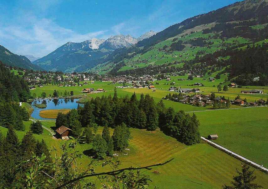 Quartier Neufeld im Sommer Quartier Neufeld im Sommer