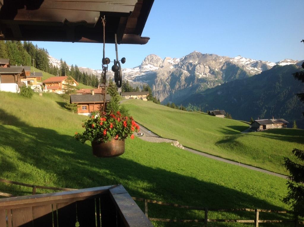 Aussicht im  Sommer Aussicht im  Sommer