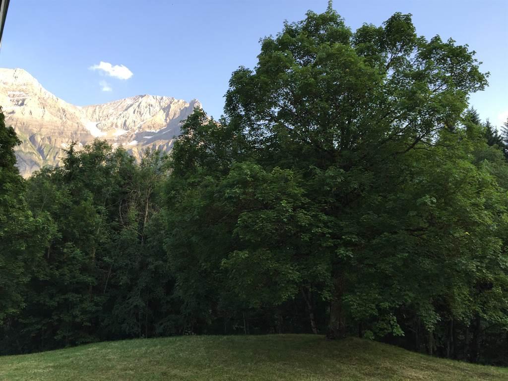 Sommer Sicht Süden Sommer Sicht Süden