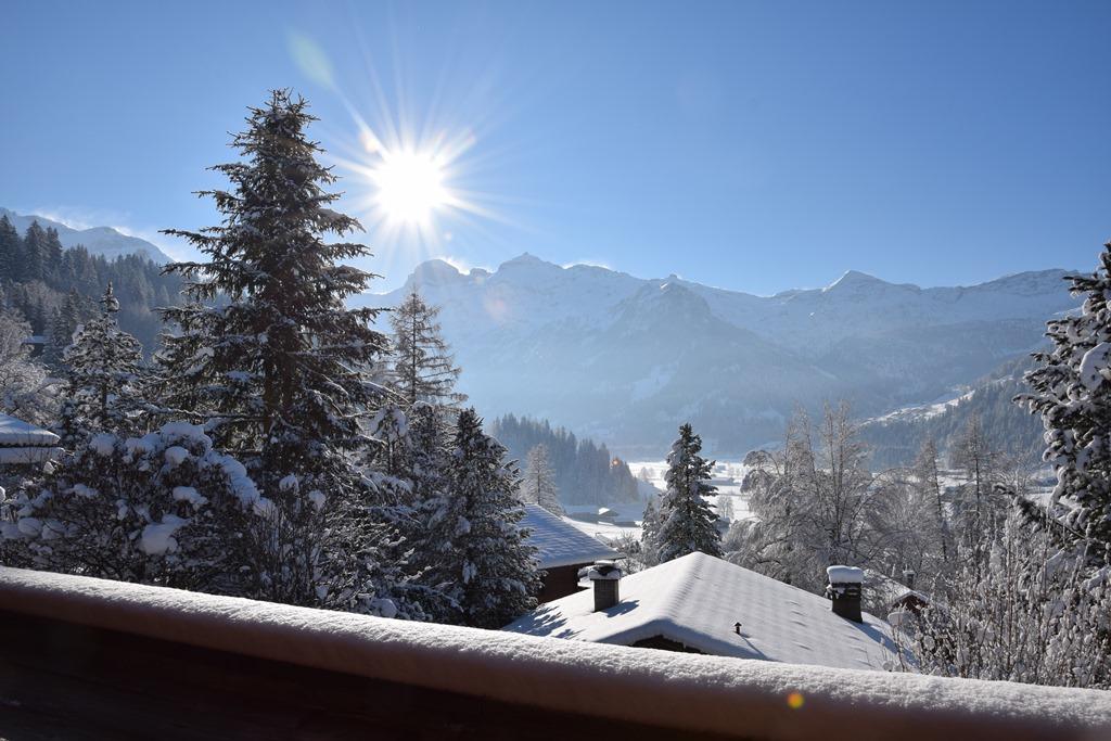 Aussicht vom Balkon im Winter Aussicht vom Balkon im Winter