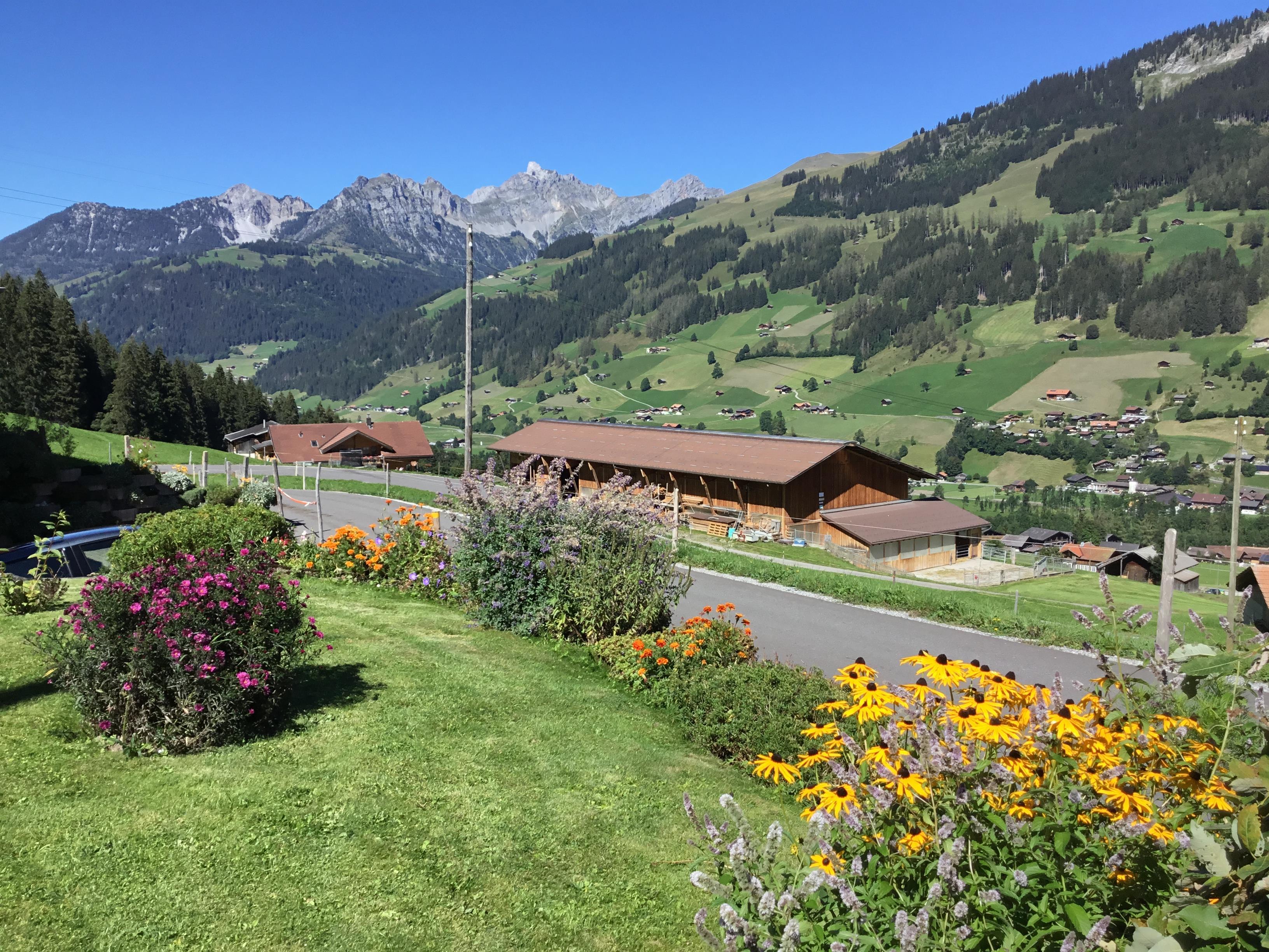 Aussicht Sommer Aussicht Sommer