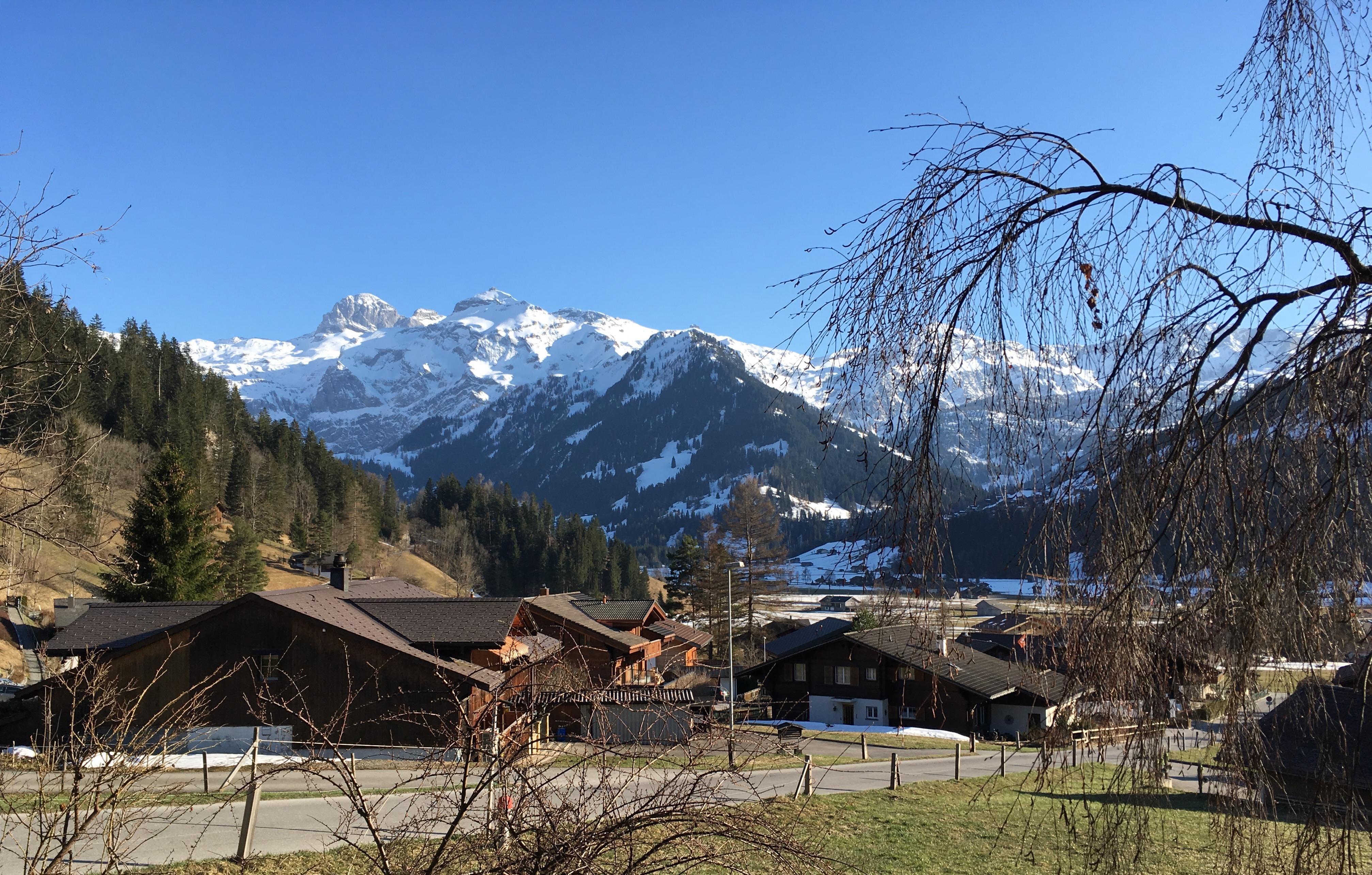 wenn der Frühling naht! wenn der Frühling naht!