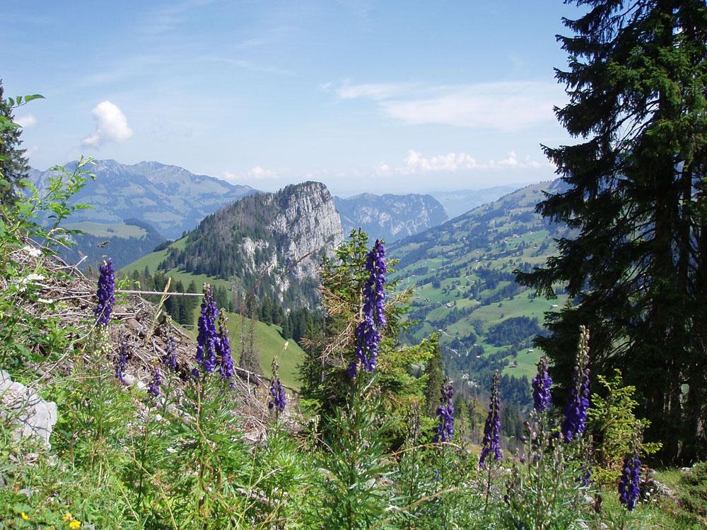 Wandern am Wiriehorn Wandern am Wiriehorn