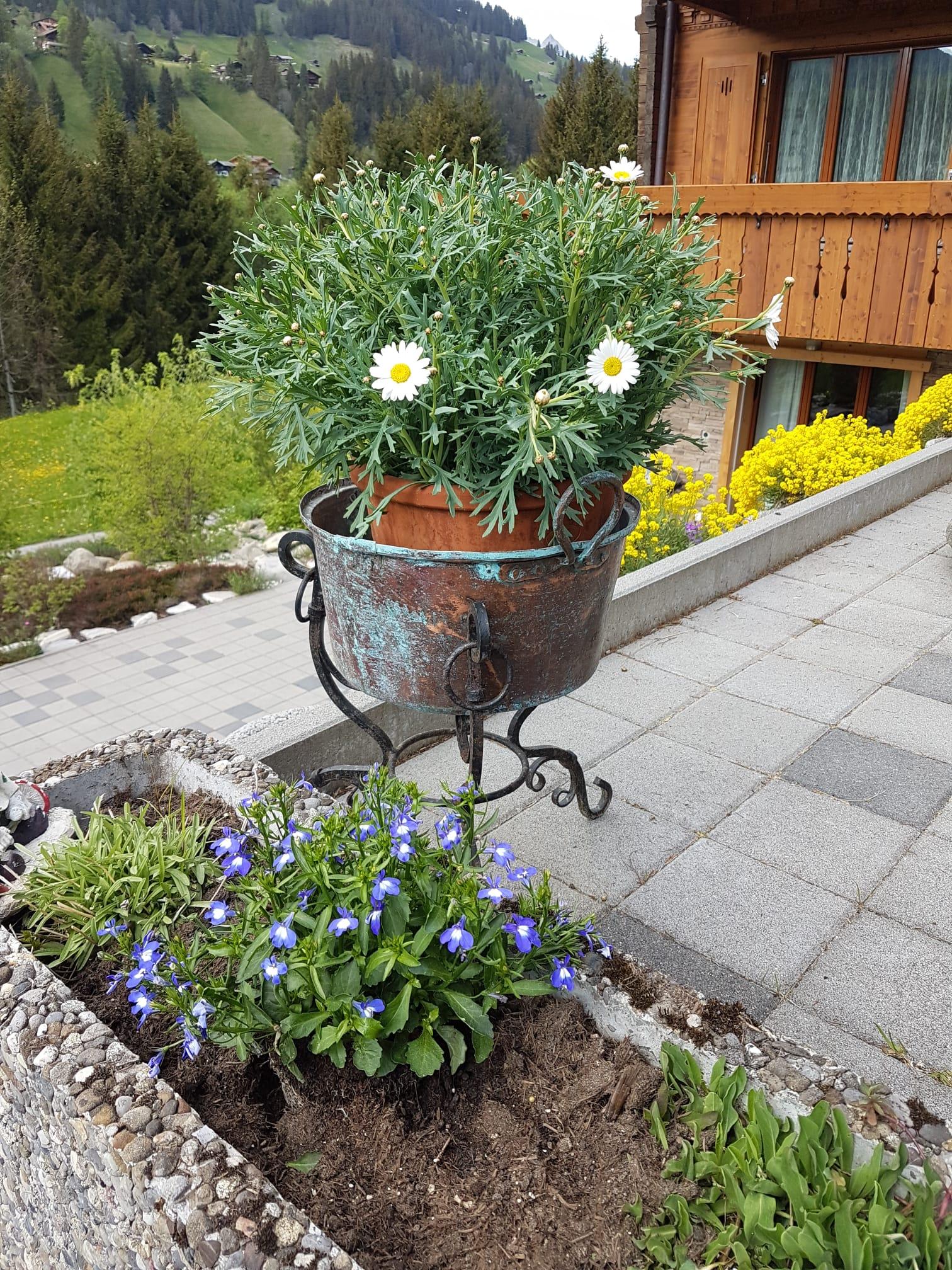 IMG-20200511-WA0001 IMG-20200511-WA0001