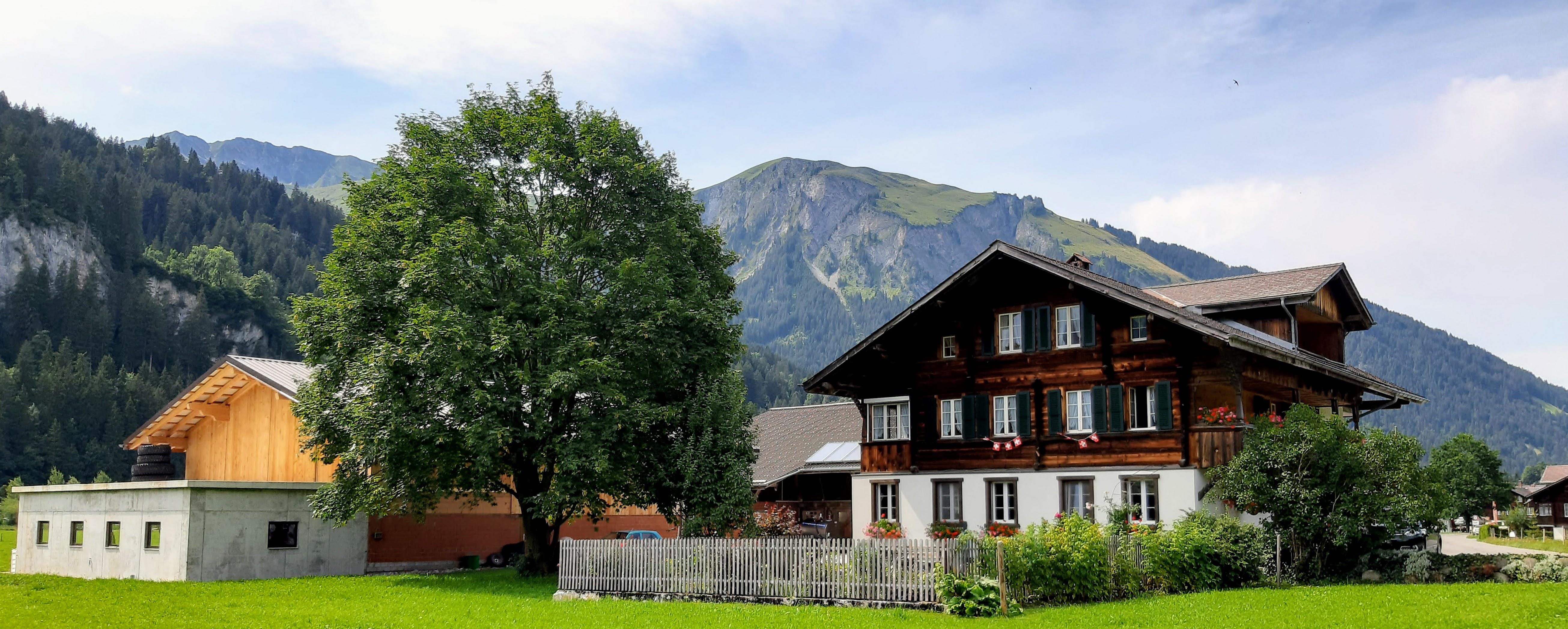 Haus im Sommer Haus im Sommer