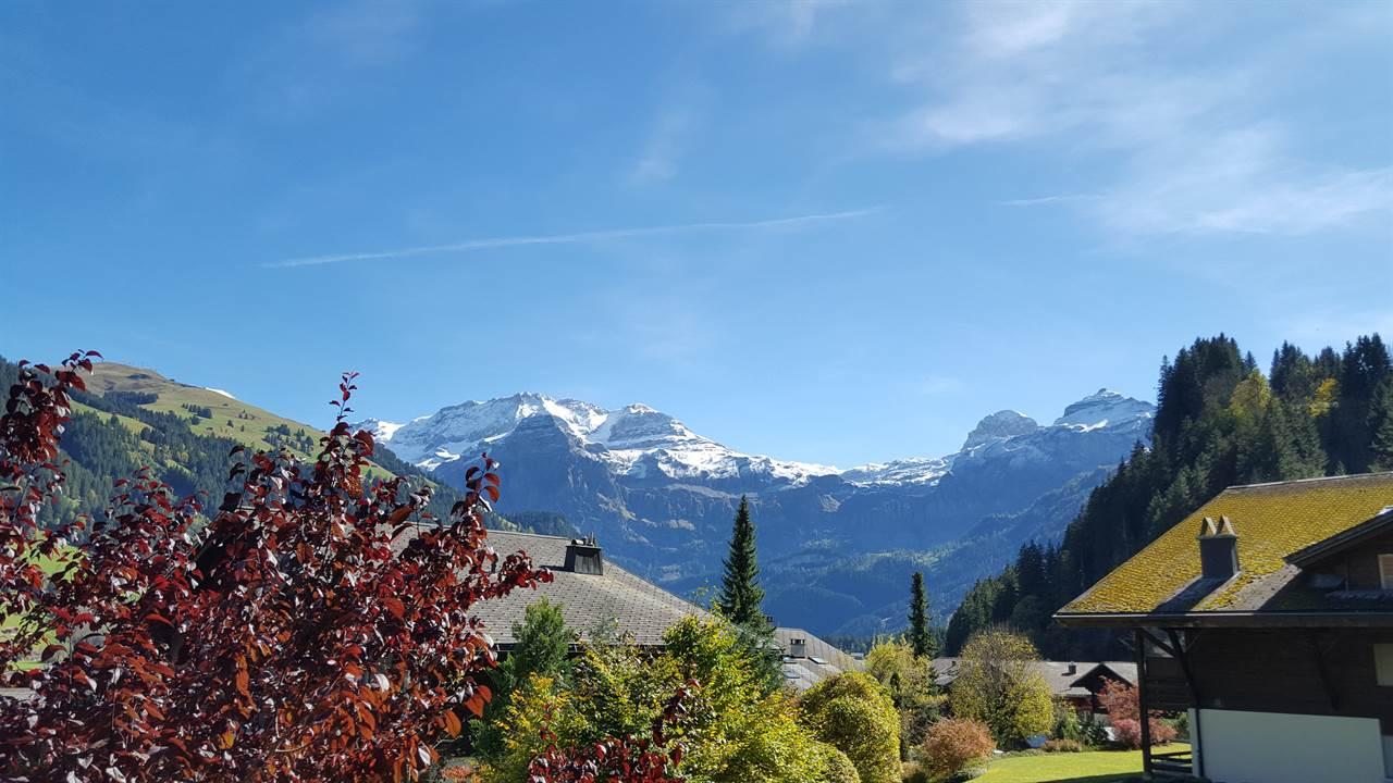 Aussicht_1 Aussicht_1