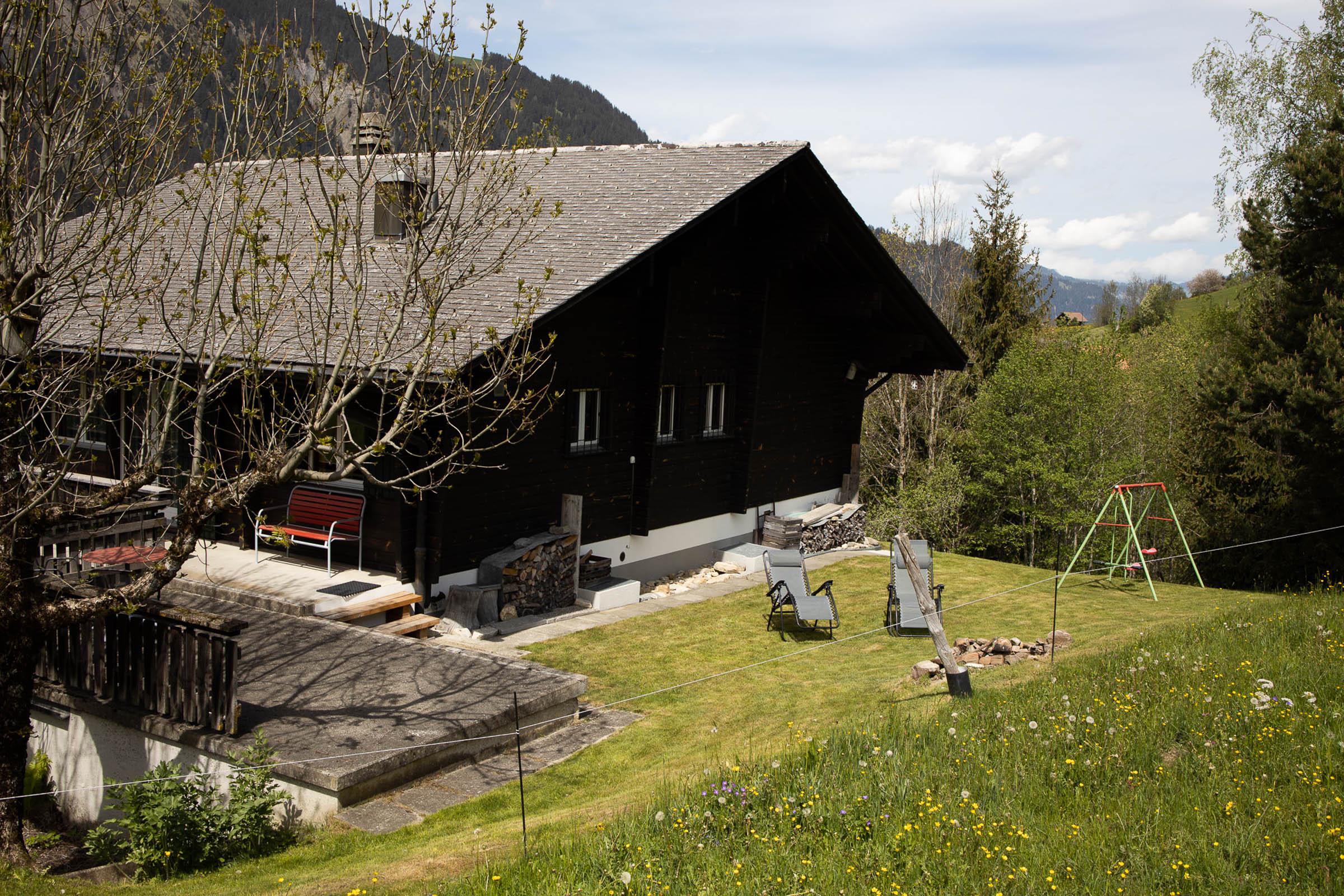 Terrasse mit Rasen, Kinderschaukel und Feuerstelle Terrasse mit Rasen, Kinderschaukel und Feuerstelle