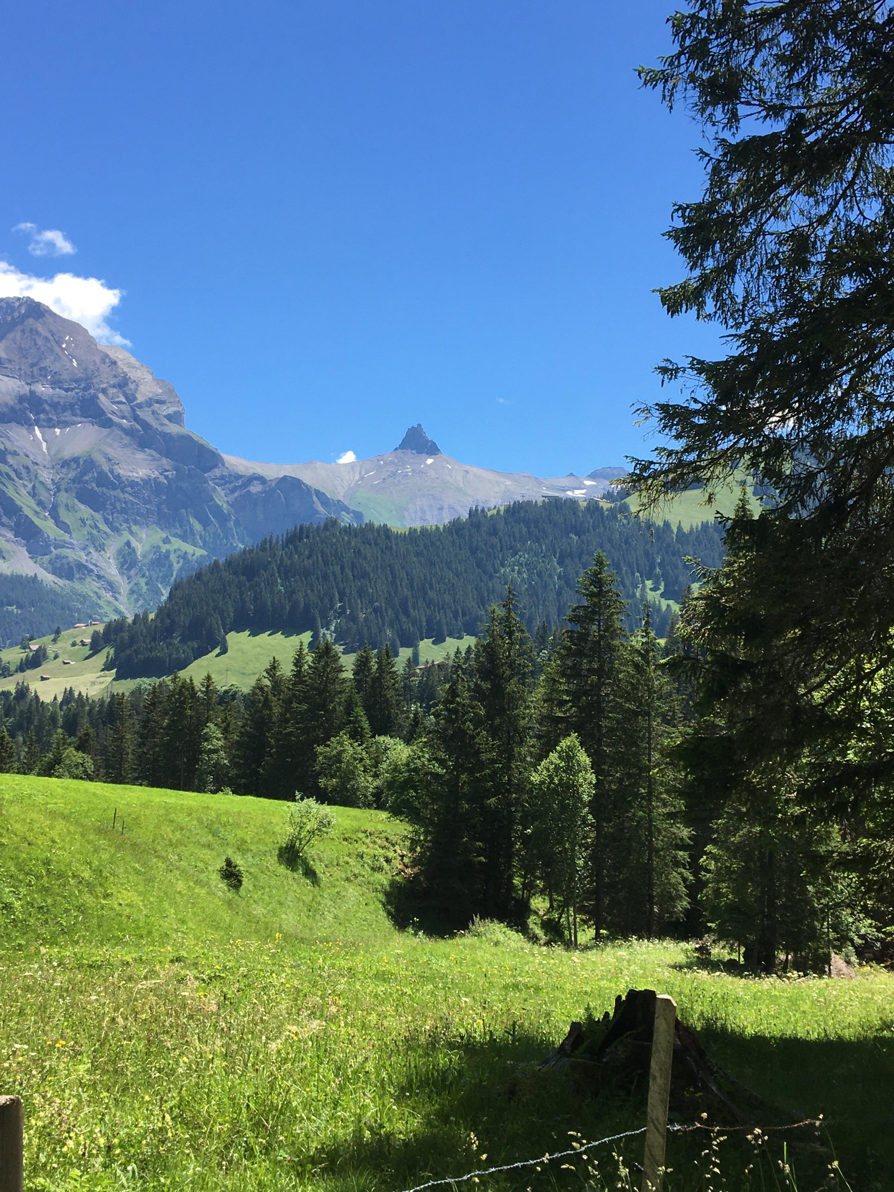 IMG_2500(1) IMG_2500(1)