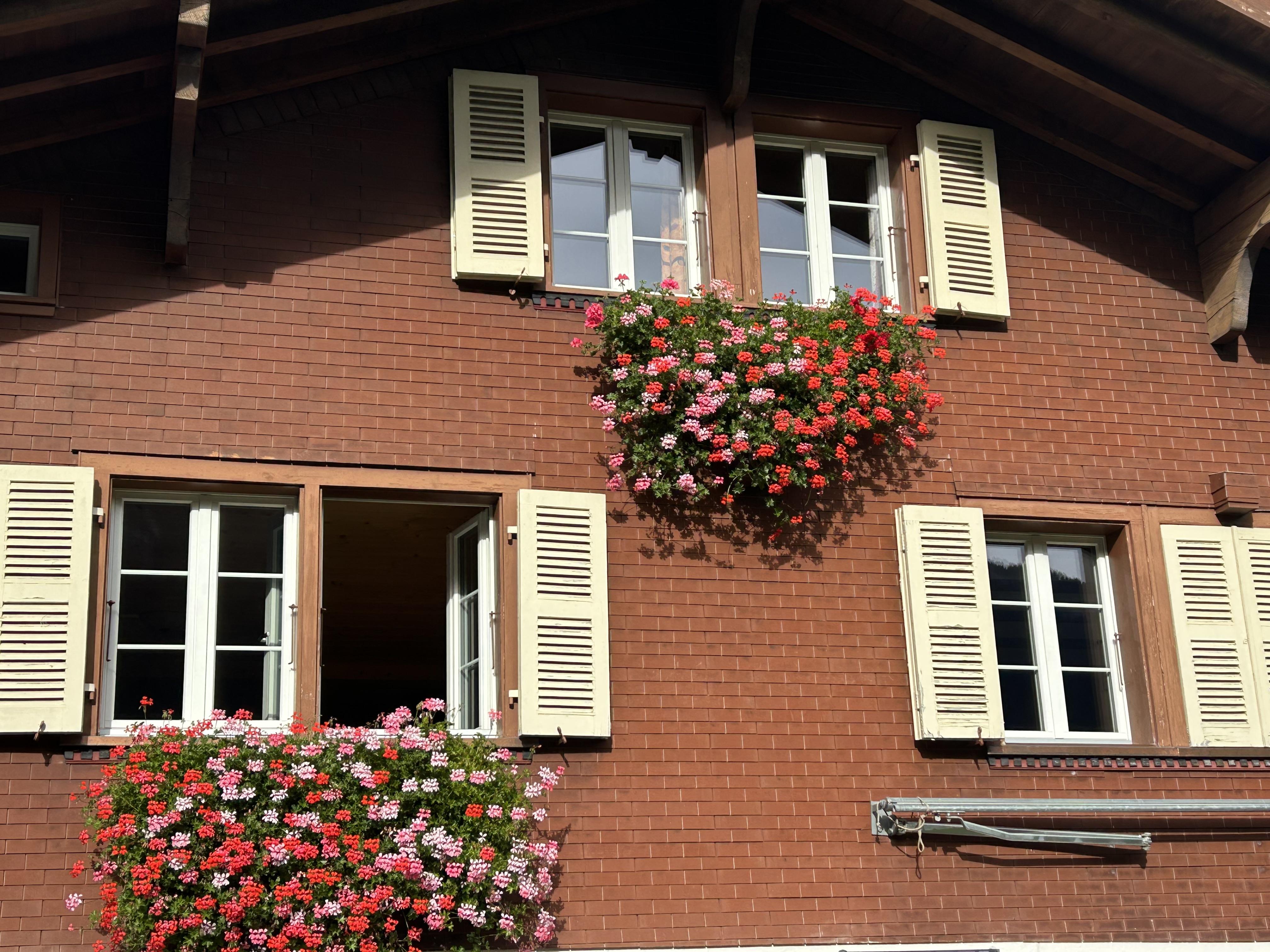 Blumenschmuck am Chalet Emma Blumenschmuck am Chalet Emma