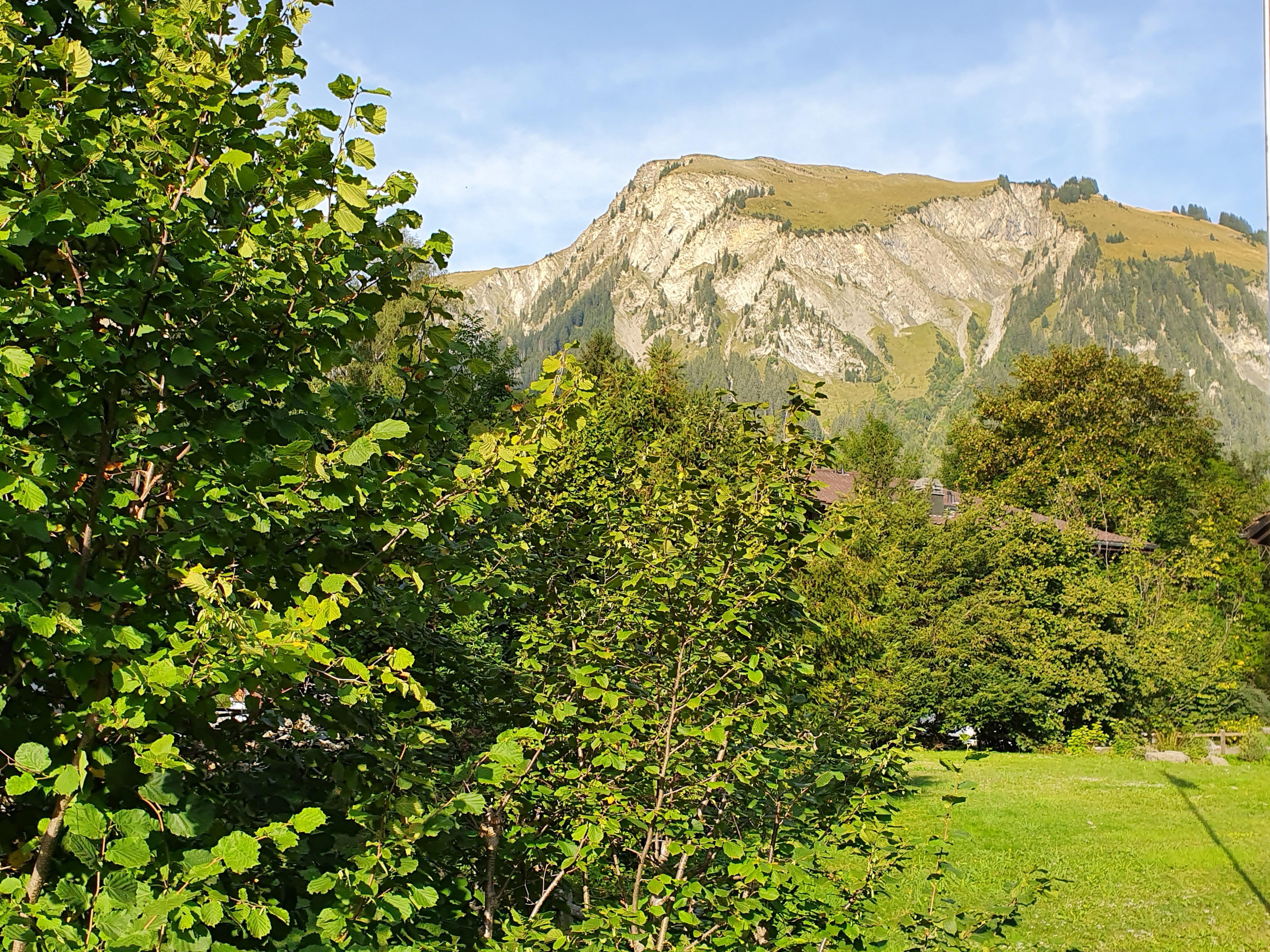Aussicht auf Flösch Aussicht auf Flösch