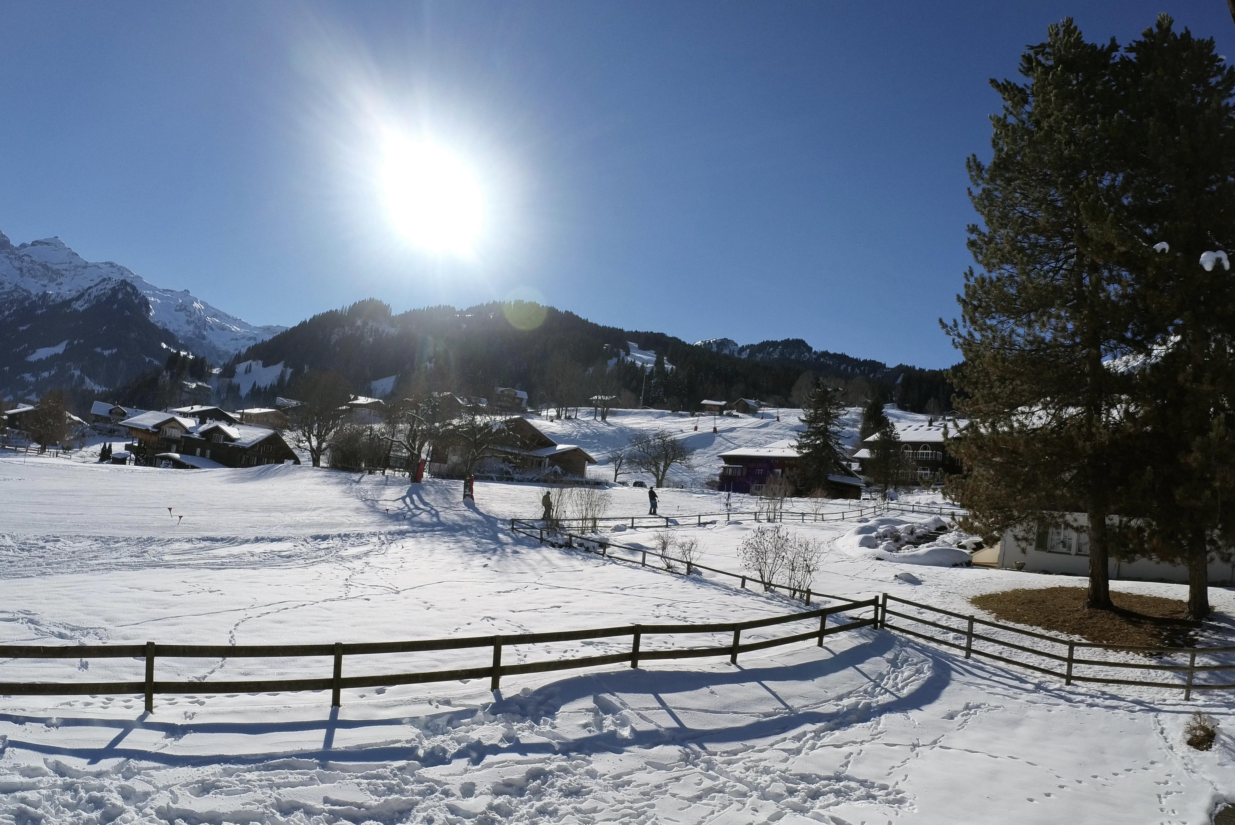 IMG_20220115_131329_287 IMG_20220115_131329_287