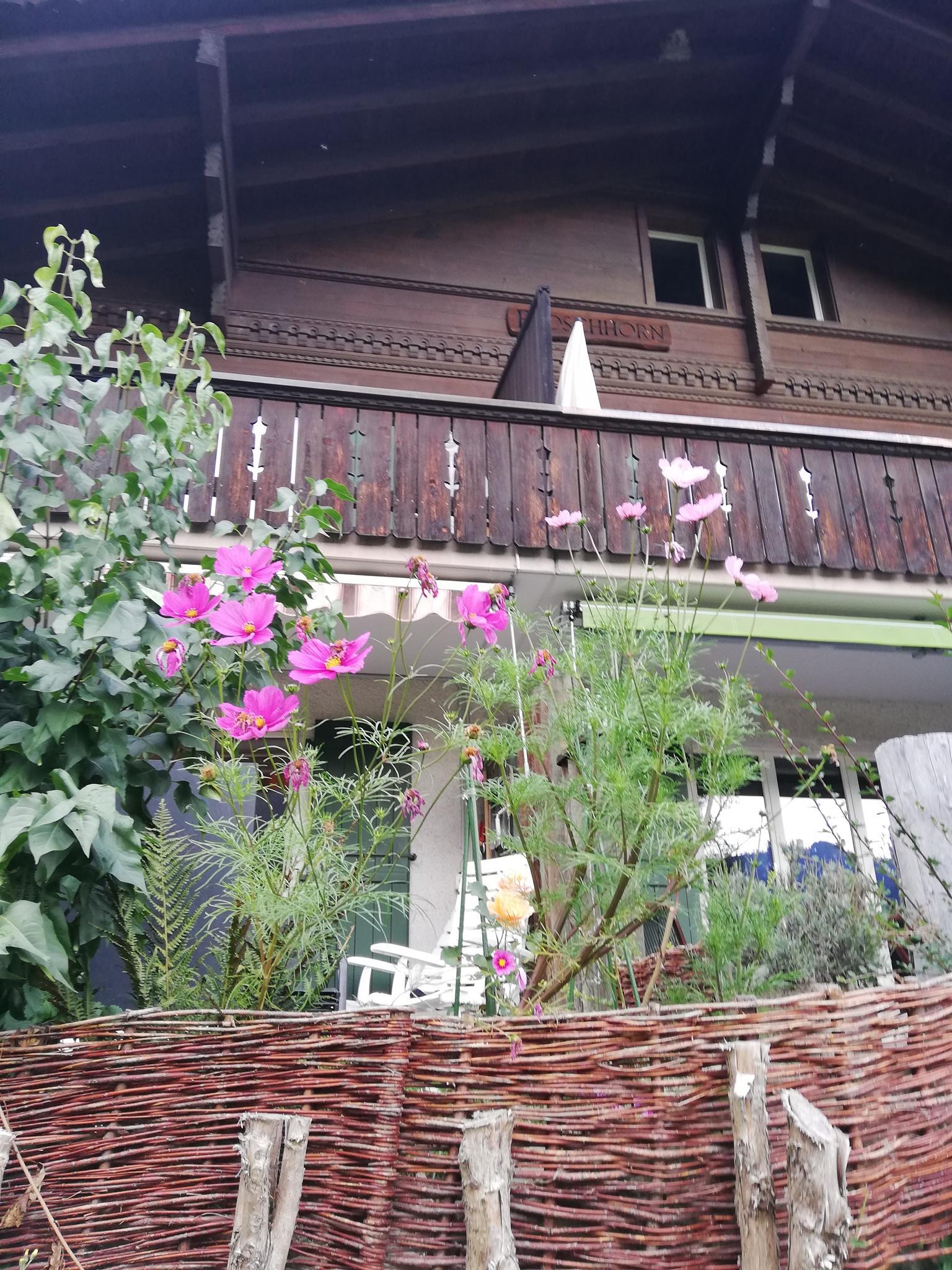 IMG_20190922_183252 IMG_20190922_183252