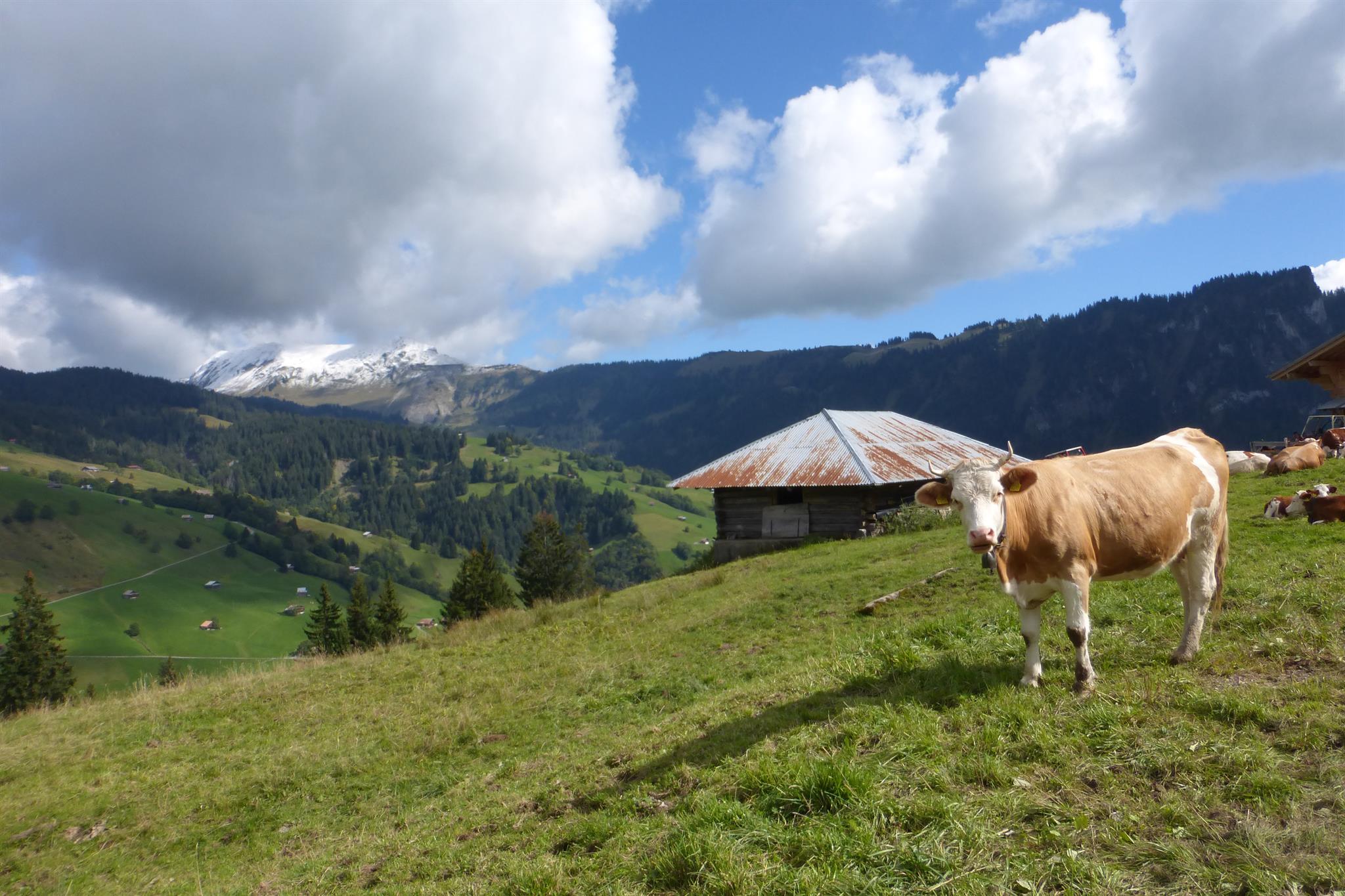 Unzählige schöne Wanderungen Unzählige schöne Wanderungen