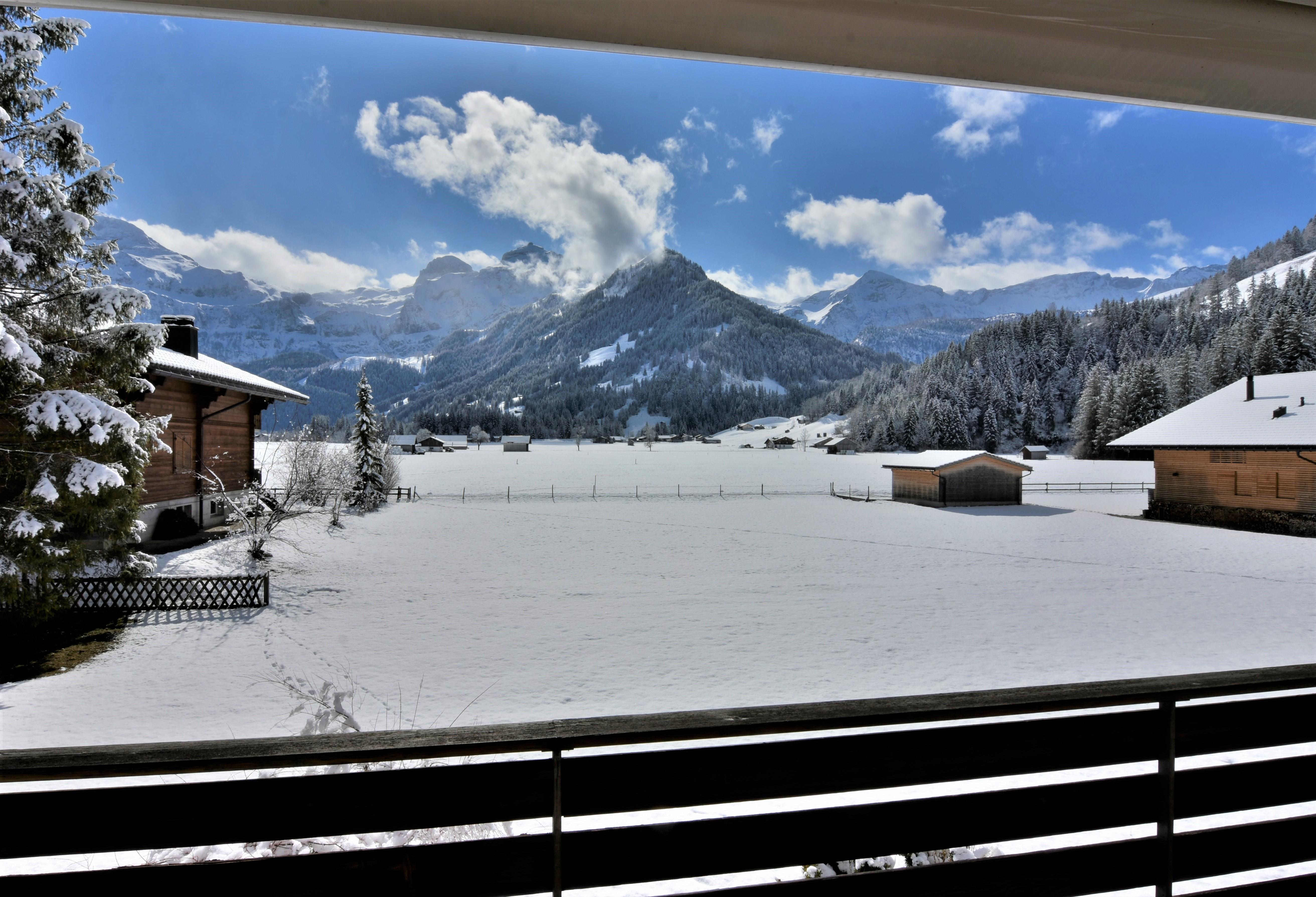 _DSC2550 (3) _DSC2550 (3)