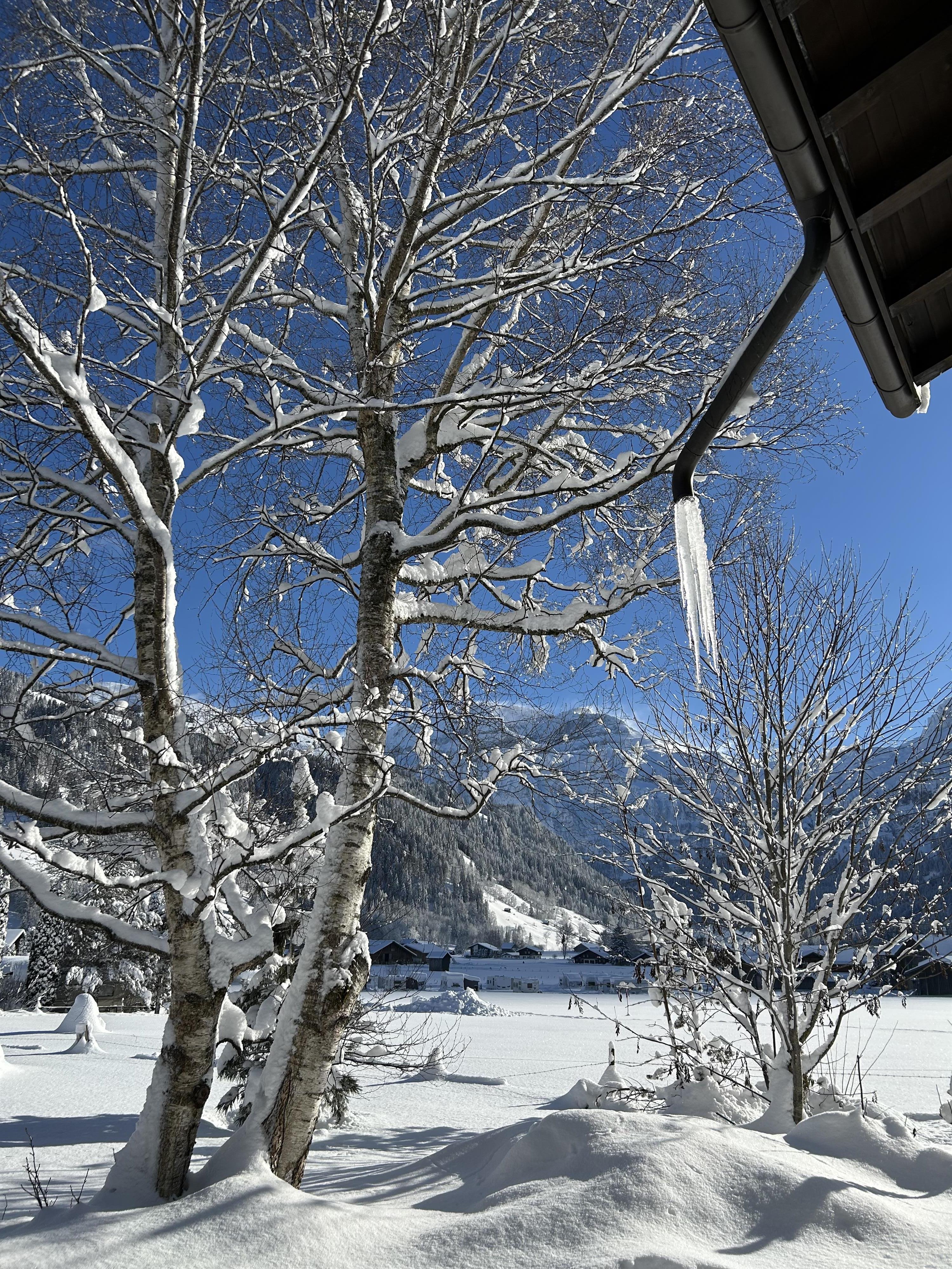 Aussicht 2 Aussicht 2