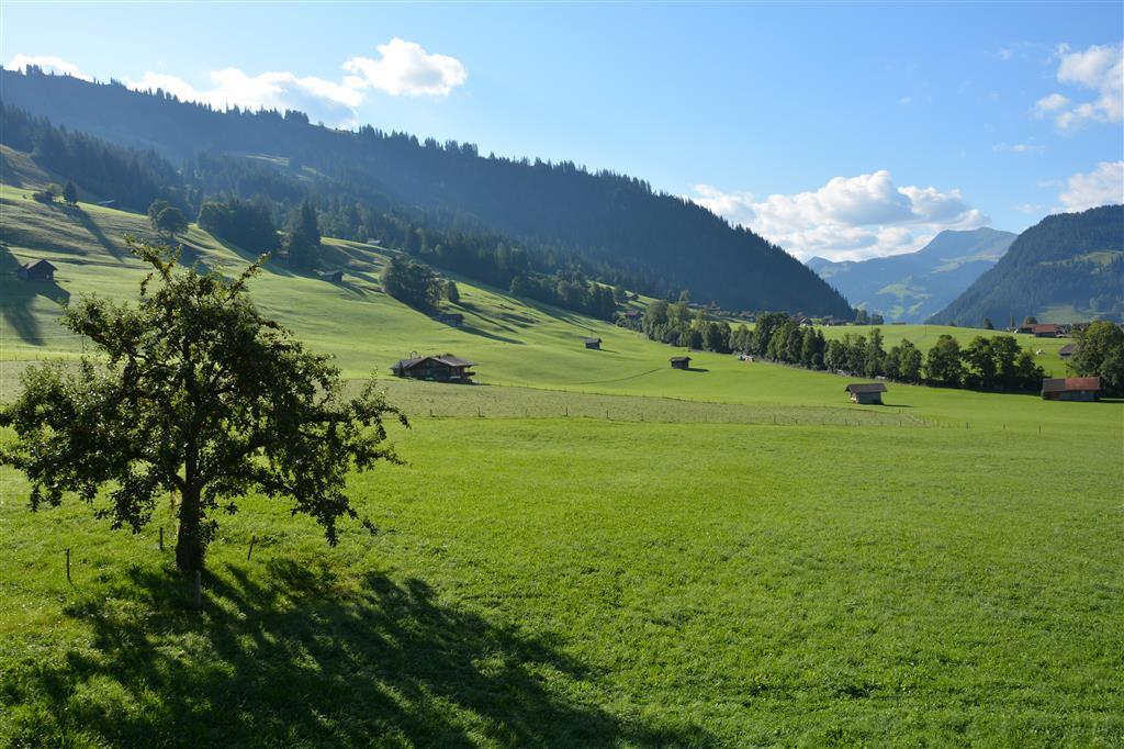 Aussicht (3) Aussicht (3)