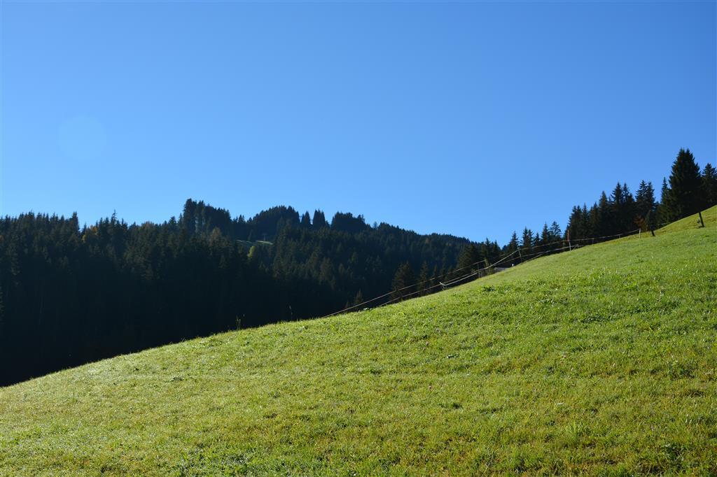 Aussicht 4 Aussicht 4