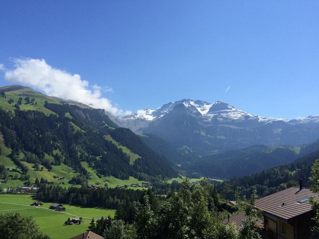 Blick auf Wildstrubel im Sommer Blick auf Wildstrubel im Sommer